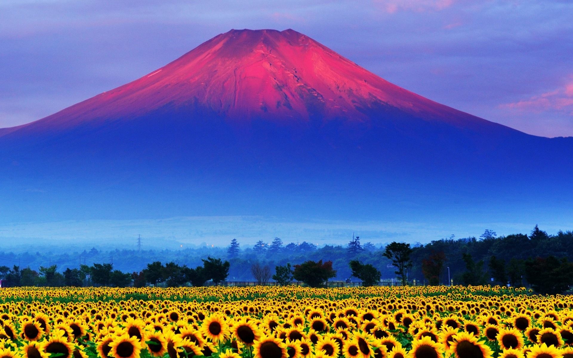 1920x1200 Fuji Mountain Japan Landscape Wallpaper