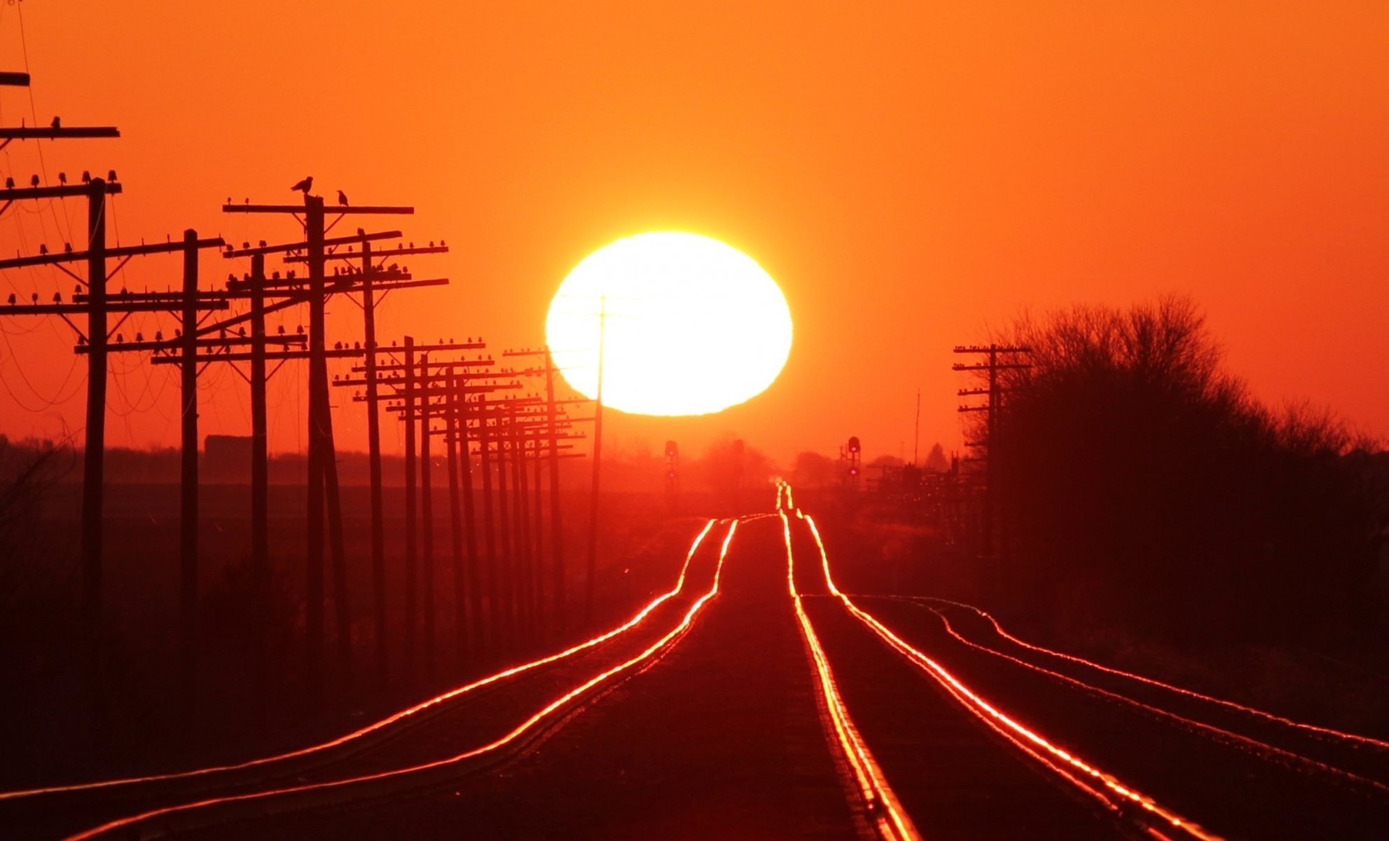 1983x1200 rails railroad sky sun sunset pillars tree