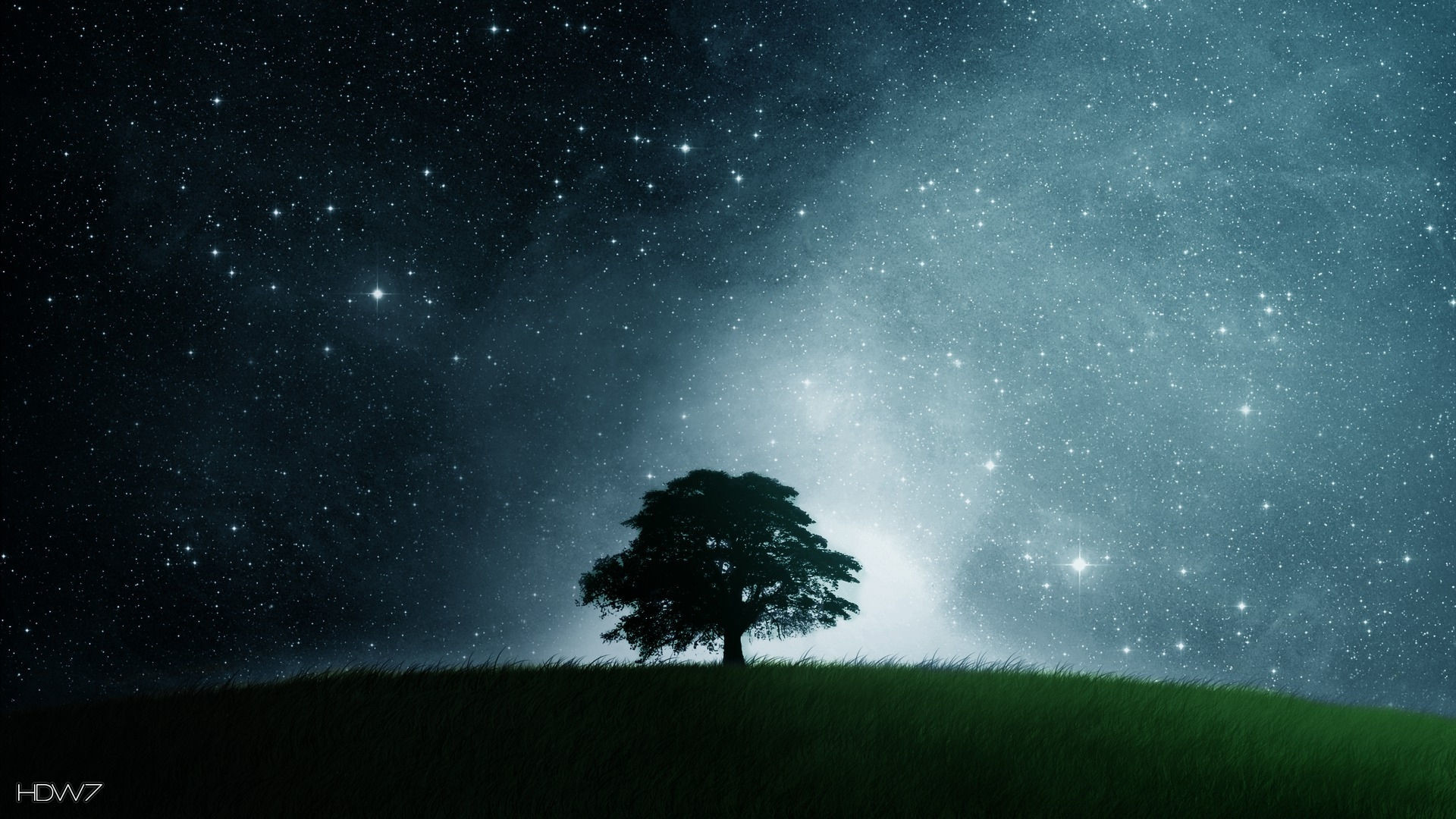 1920x1080 awesome lonely tree starsnight 