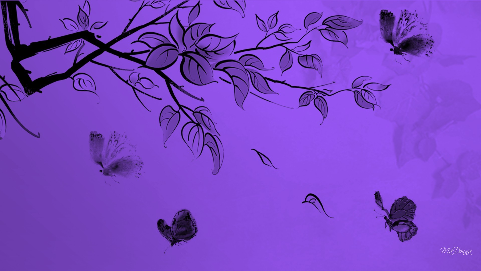1920x1080 Purple and black butterfly wallpapers