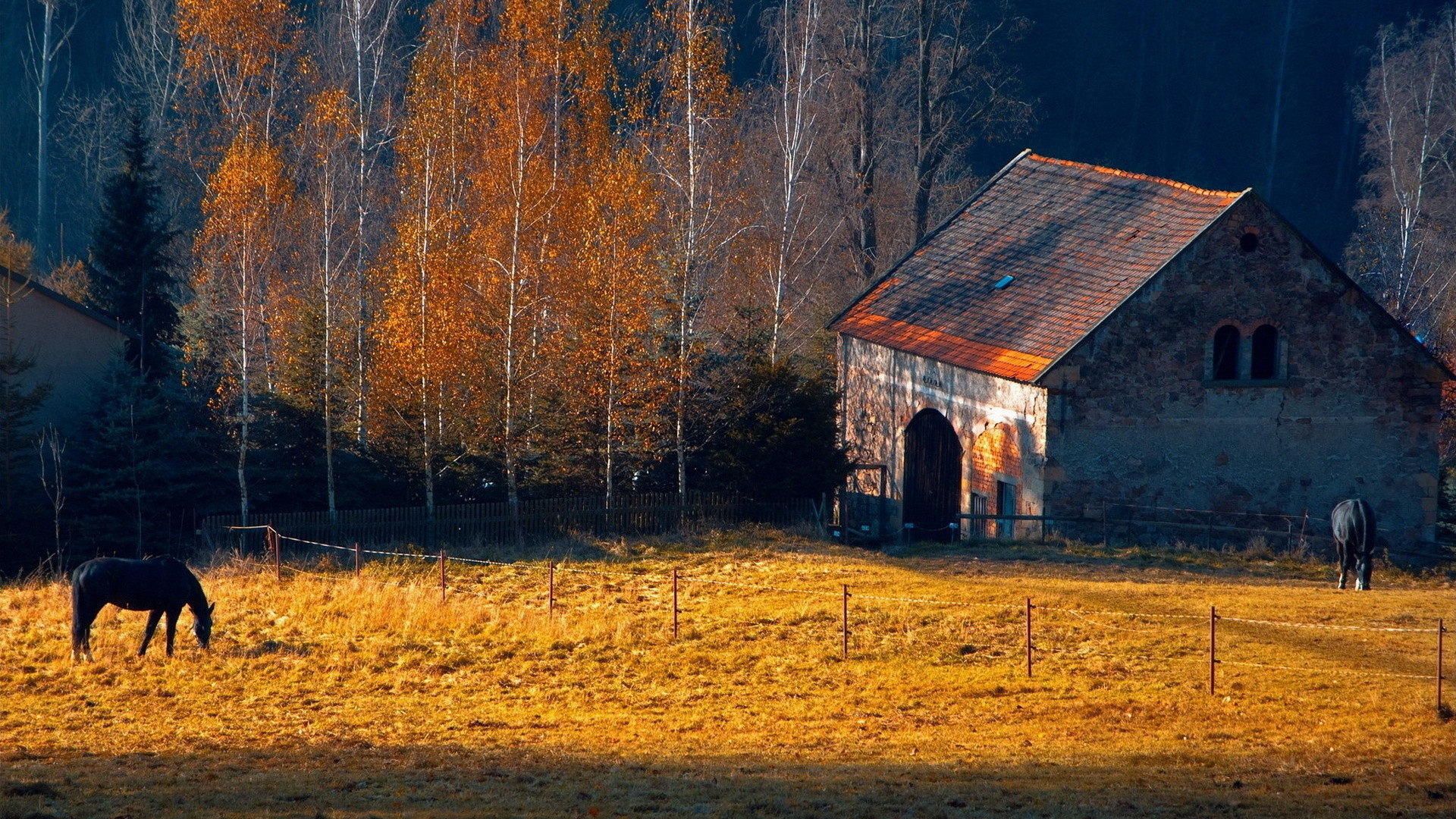 1920x1080 Old Farm Barn Fall Scenery Wallpaper