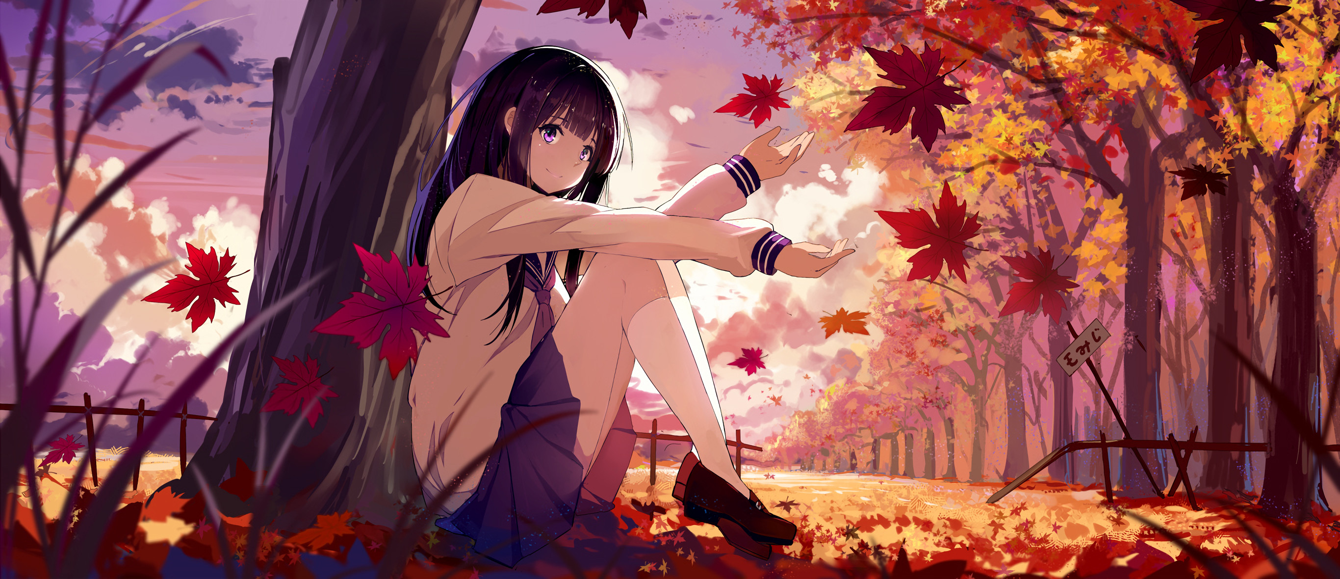 2732x1180 Anime  Hyouka Chitanda Eru black hair purple eyes fall leaves