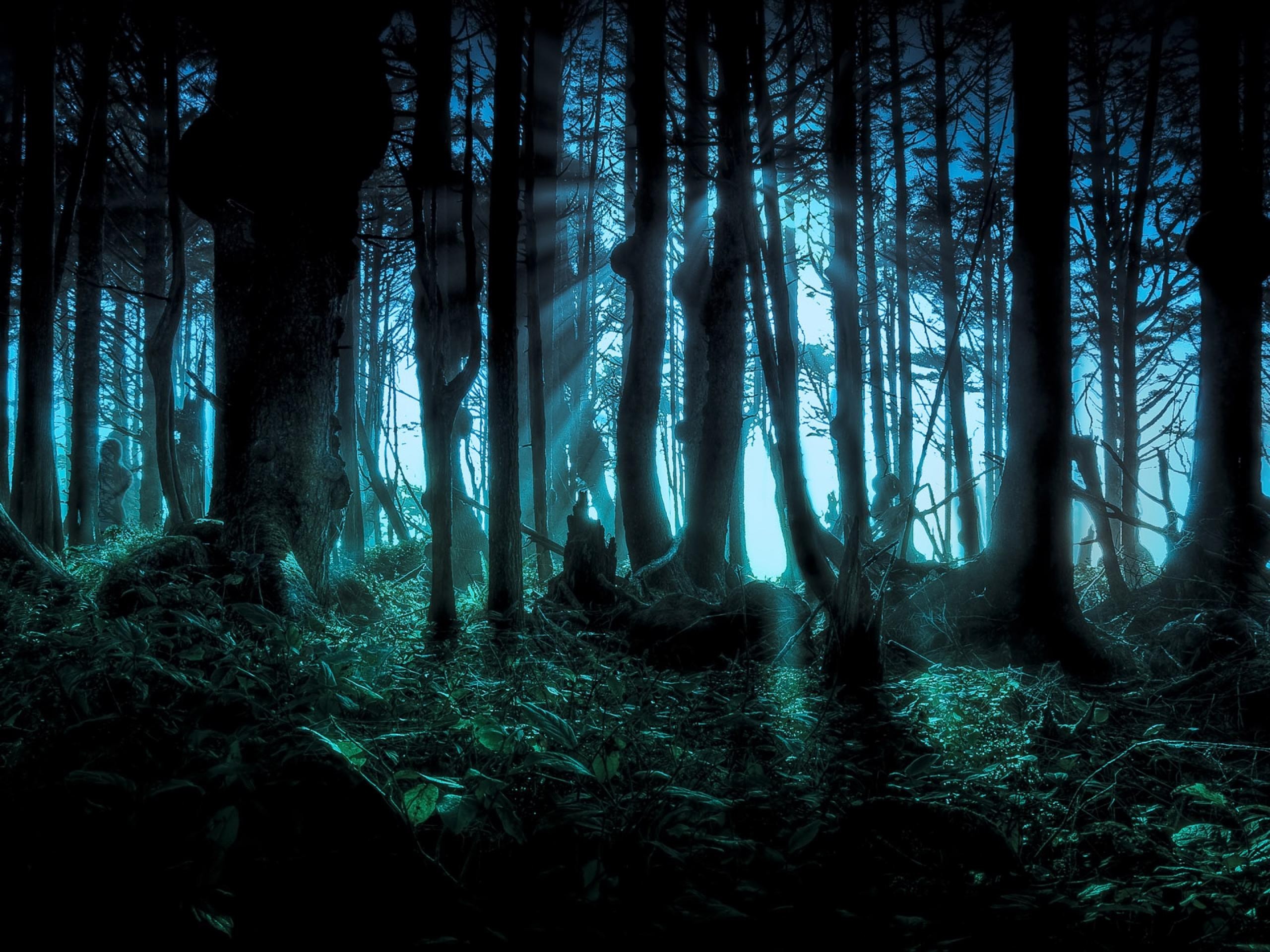 2560x1920 We always effort to show a picture with HD resolution or at least with  perfect images. Forest Halloween Scary Pacific Wallpaper At 3d ...