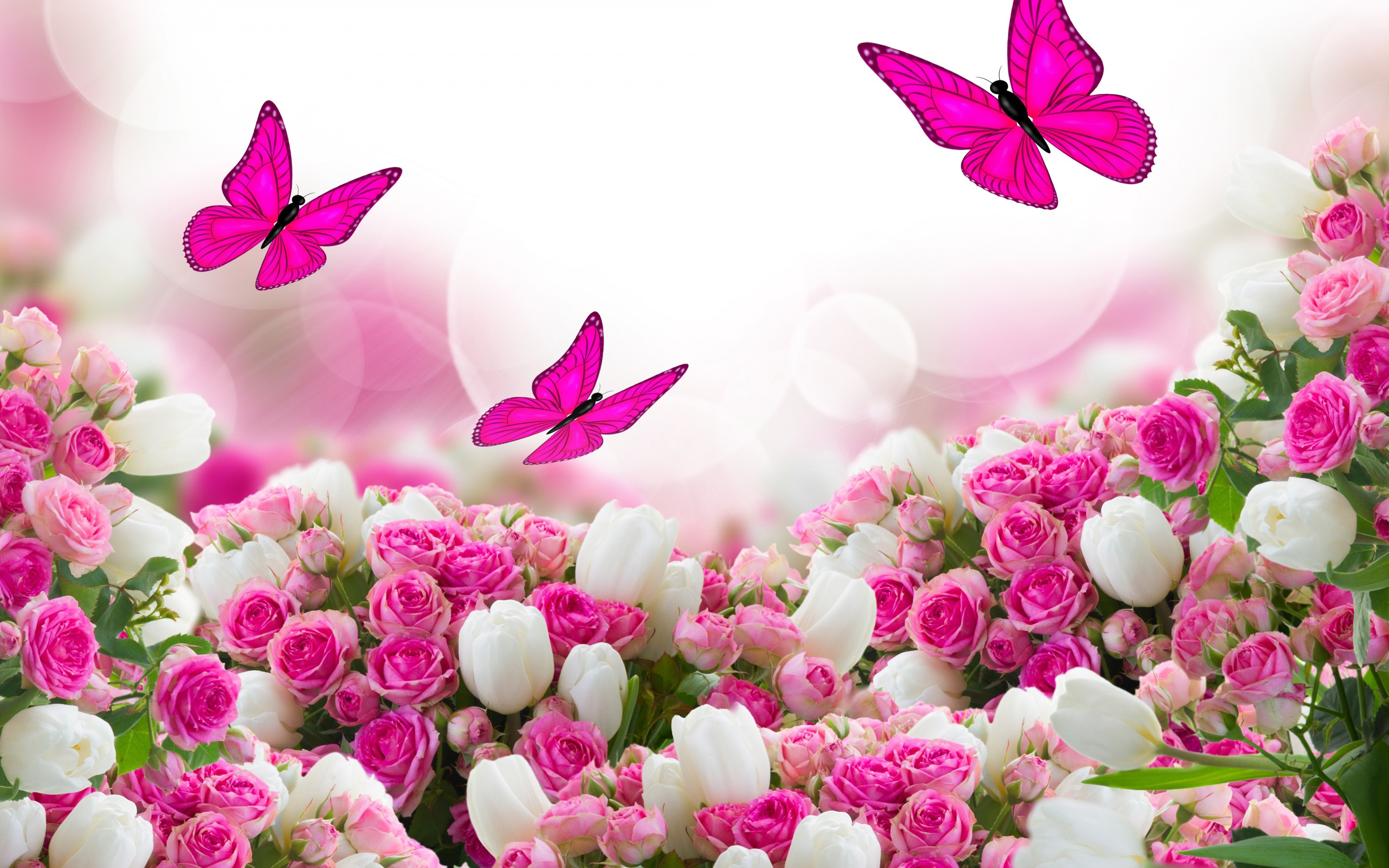 2880x1800 ... Desktop Inspiratoin: Beautiful Rose Flower Wallpaper ...