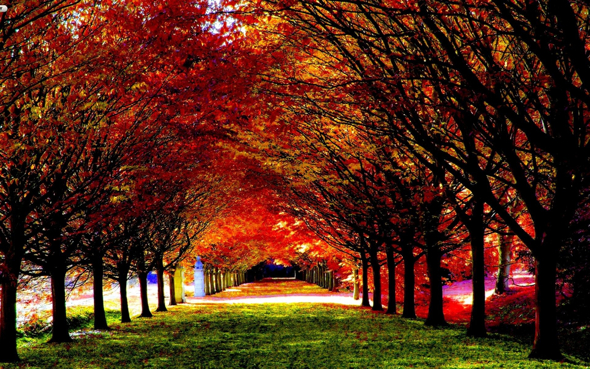 1920x1200 30 Most Beautiful Autumn Wallpapers HD - MixHD wallpapers