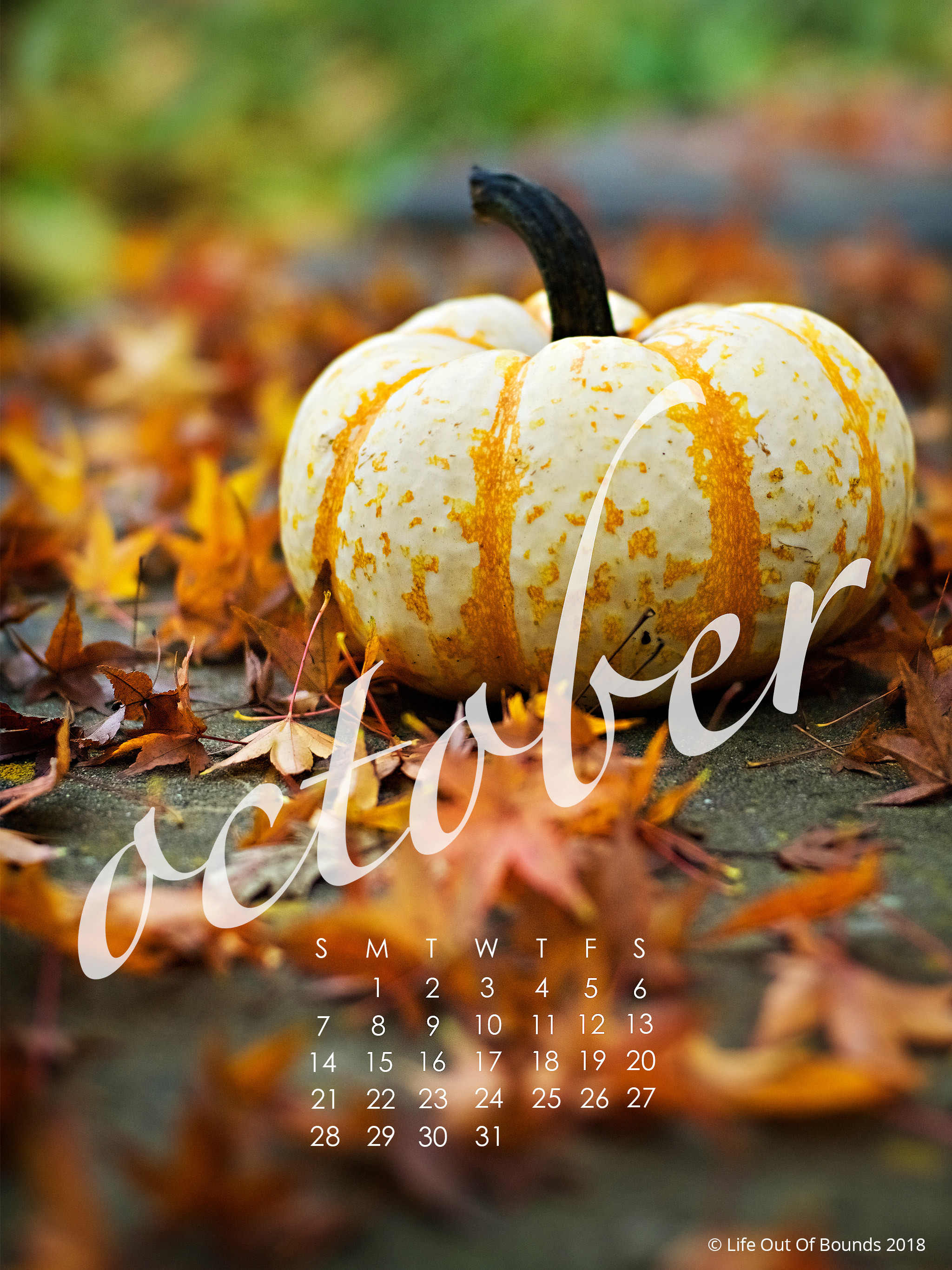 2048x2732 Click here to download the October 2018 calendar wallpaper for iPad/tablet