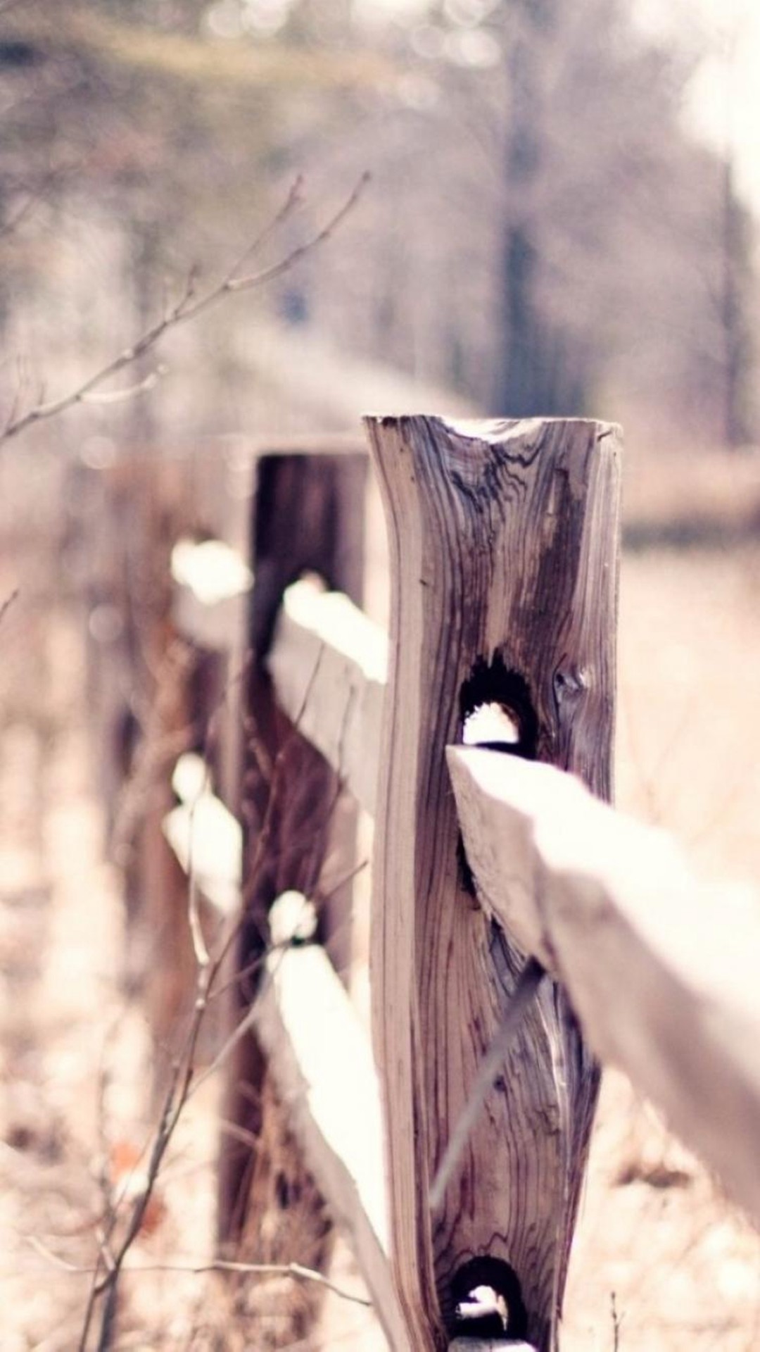 1080x1920 Country Suburban Forest Fence Bokeh iPhone 8 wallpaper