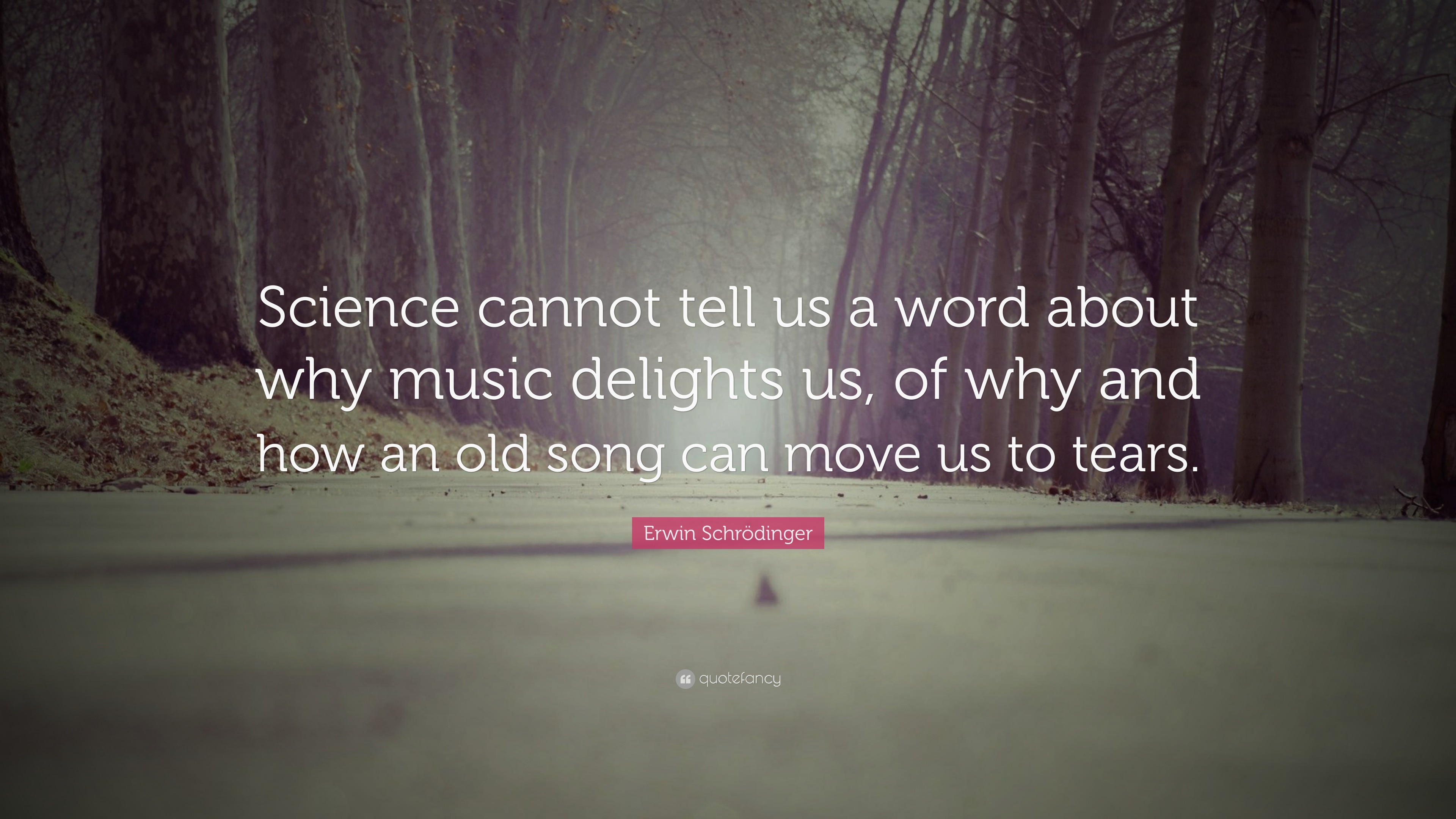 3840x2160 Erwin SchrÃ¶dinger Quote: “Science cannot tell us a word about why music  delights us