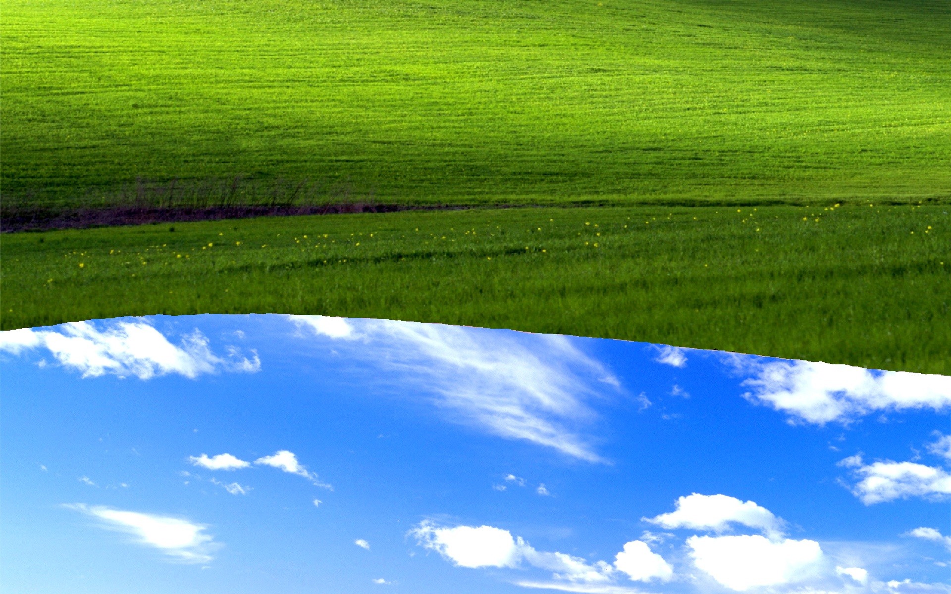 1920x1200 Bliss grassland green sky nature field grass meadow ecosystem daytime  atmosphere atmosphere of earth water resources