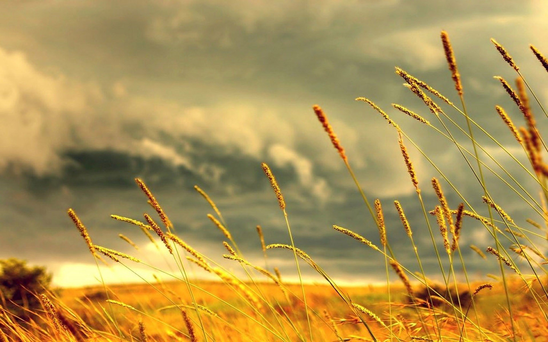 1920x1200 wallpaper.wiki-Summer-Sky-HD-Wallpapers-PIC-WPB00242