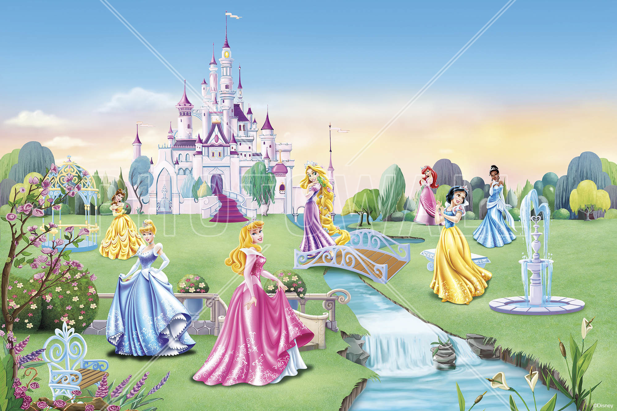 2000x1333 Princess Aurora Wallpaper 2000Ã1333