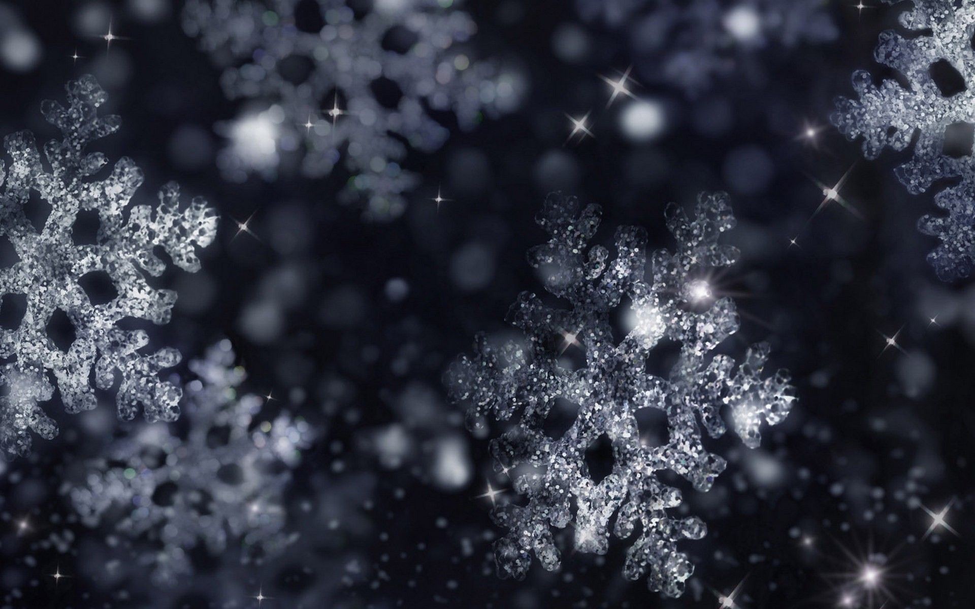 1920x1200 Iced snowflakes wallpaper 16337 