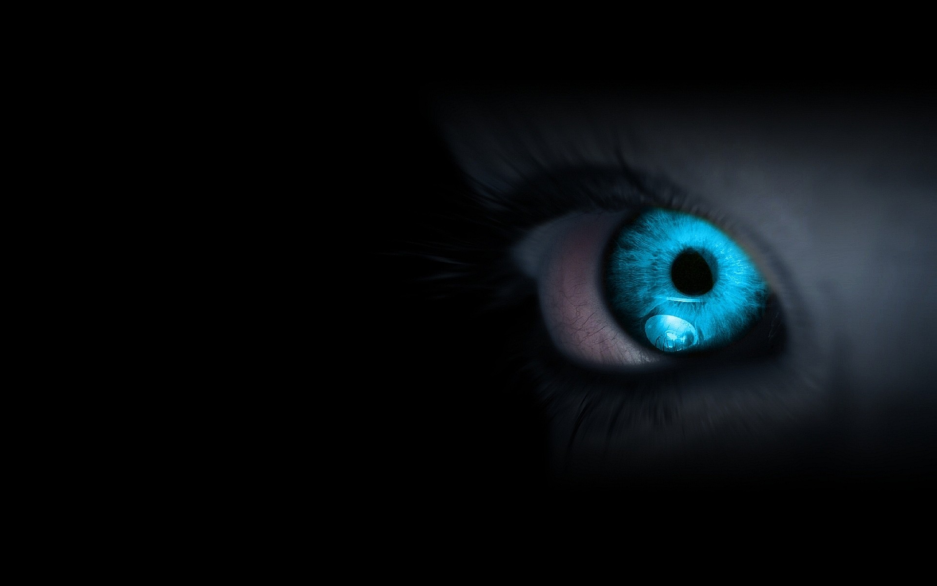 1920x1200 Related Wallpapers from Oscar wilde wisdom. Blue eyes Creature