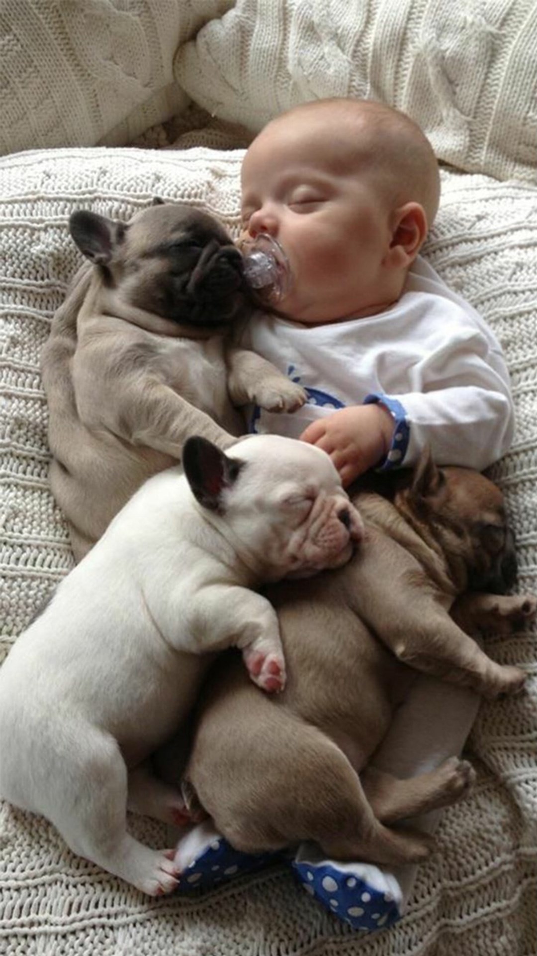 1080x1920 Infant Baby Dog Sleeping Cute Lovely #iPhone #6 #wallpaper