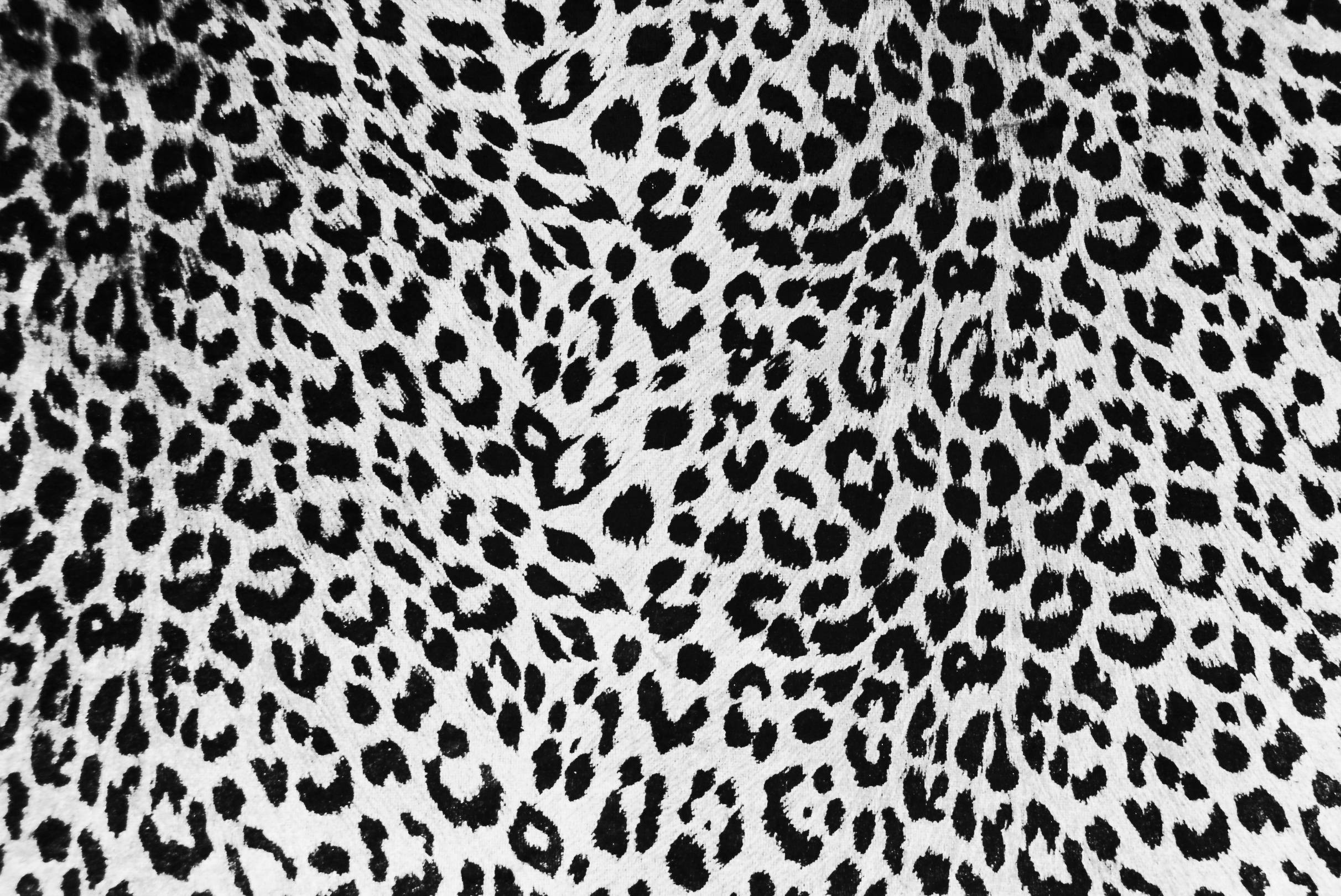 2424x1620 Leopard Print Wallpaper. Black And White Zebra Print