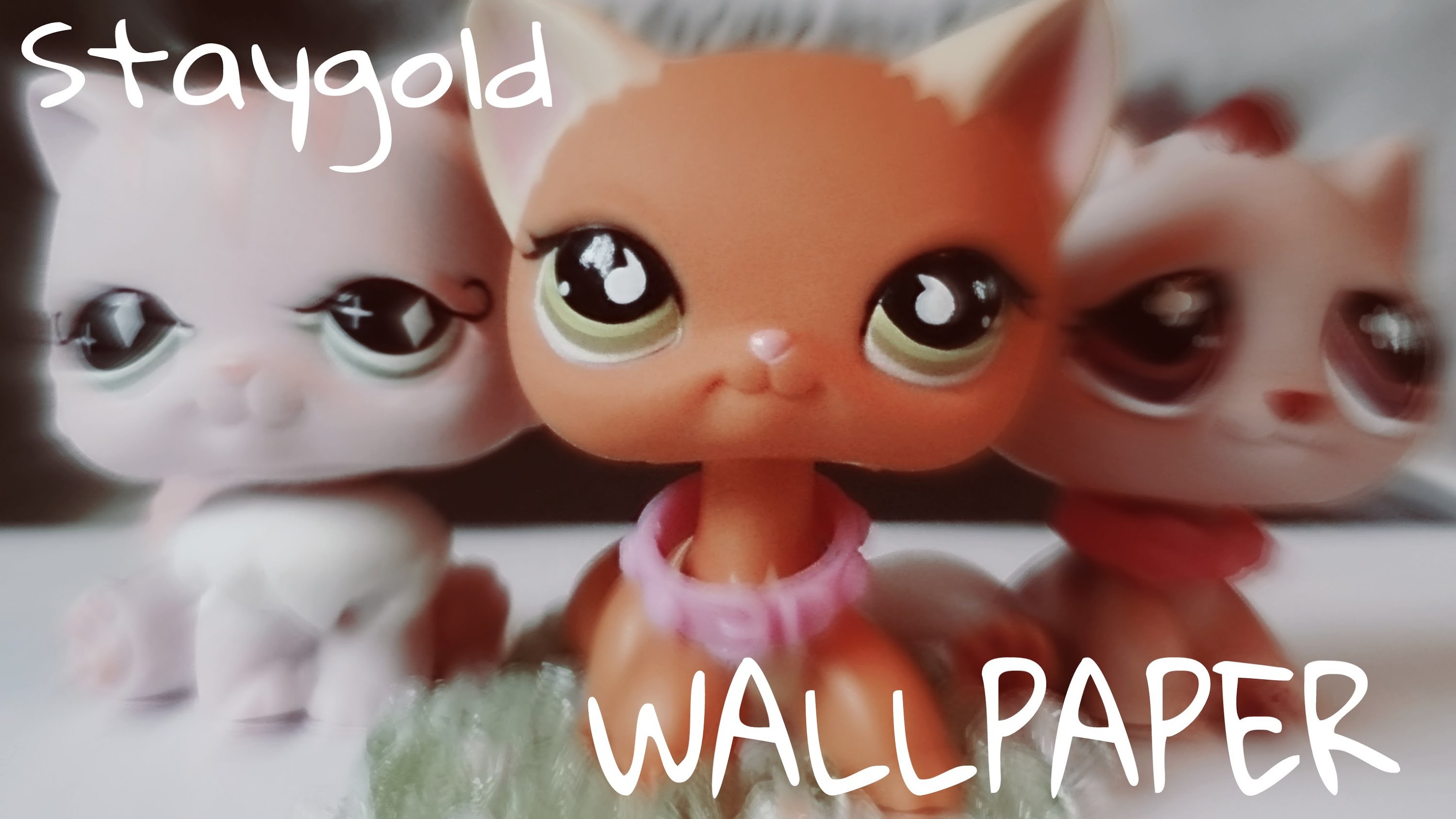 3000x1688 LPS: ~Staygold - Wallpaper~ (MV)