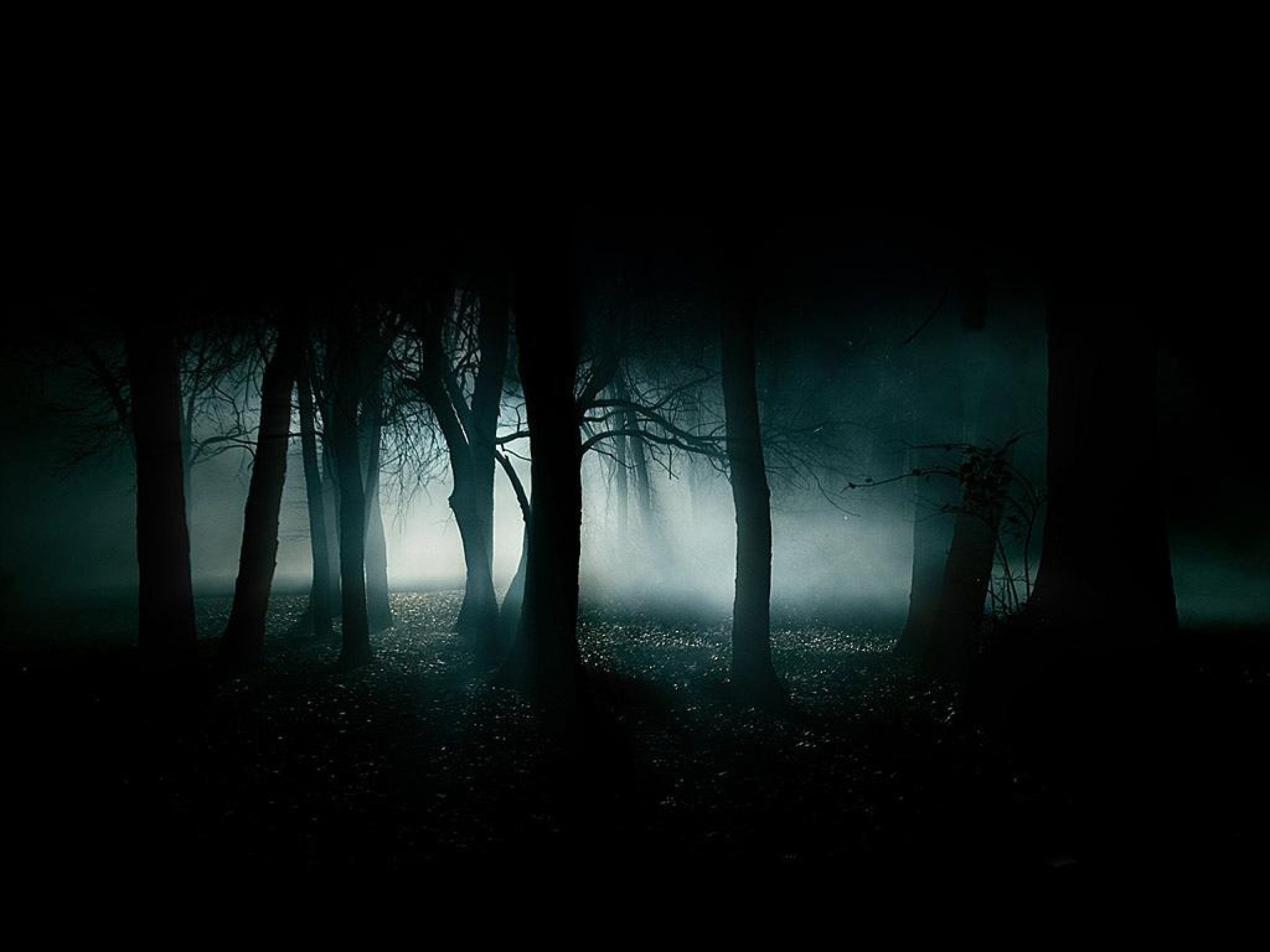 2560x1920 creepy blue black dark night white forest smoke woods gothic 1024x768  wallpaper