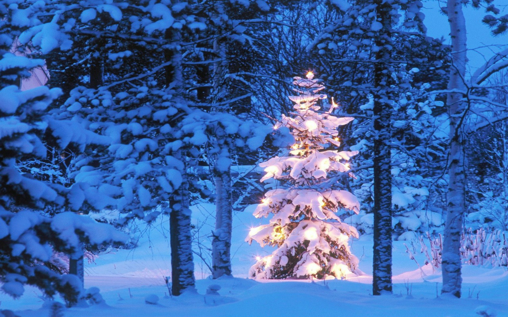 Christmas Tree Desktop Background (74+ images)