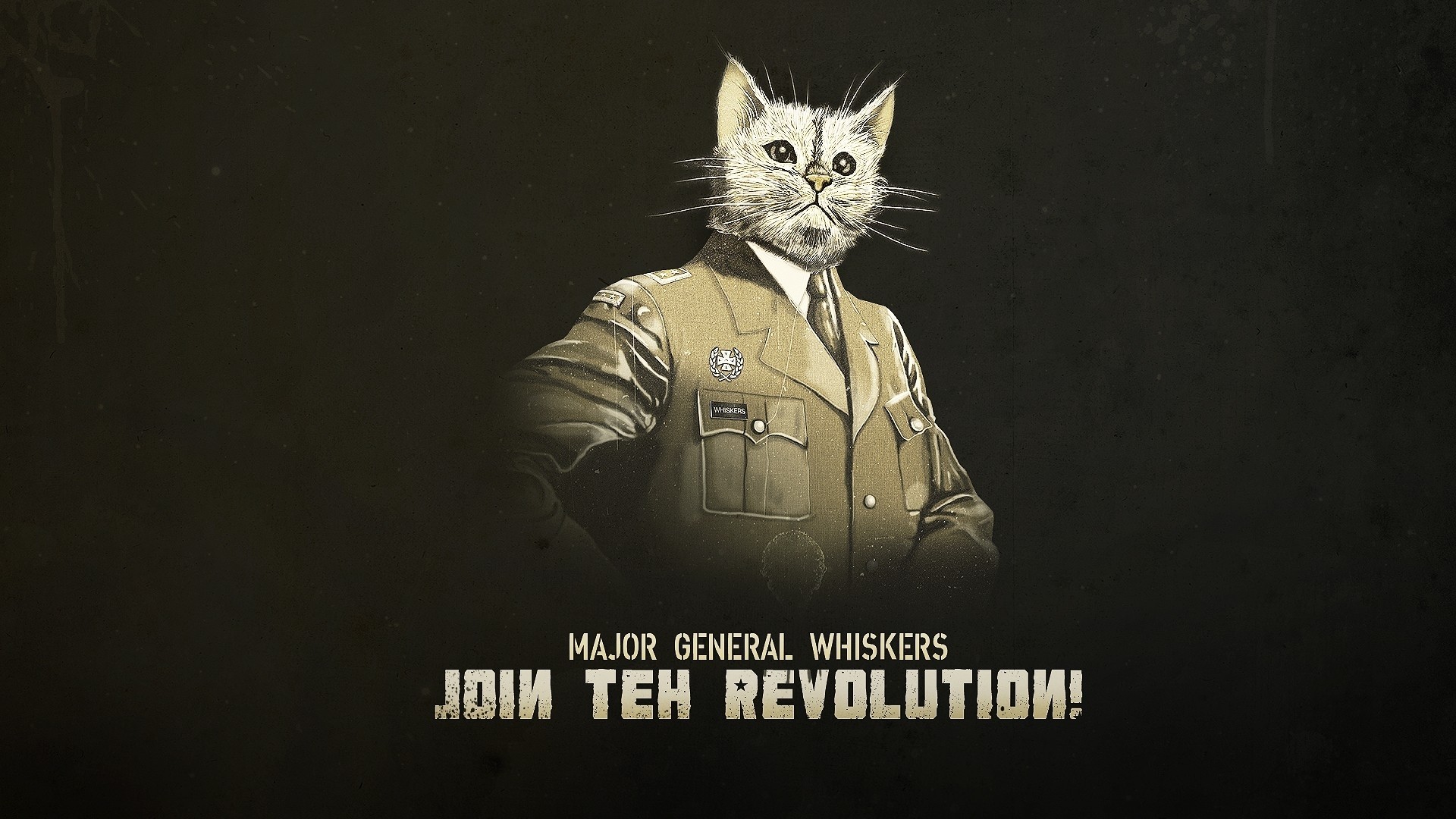 1920x1080 Funny Army Wallpapers | Desktop Image