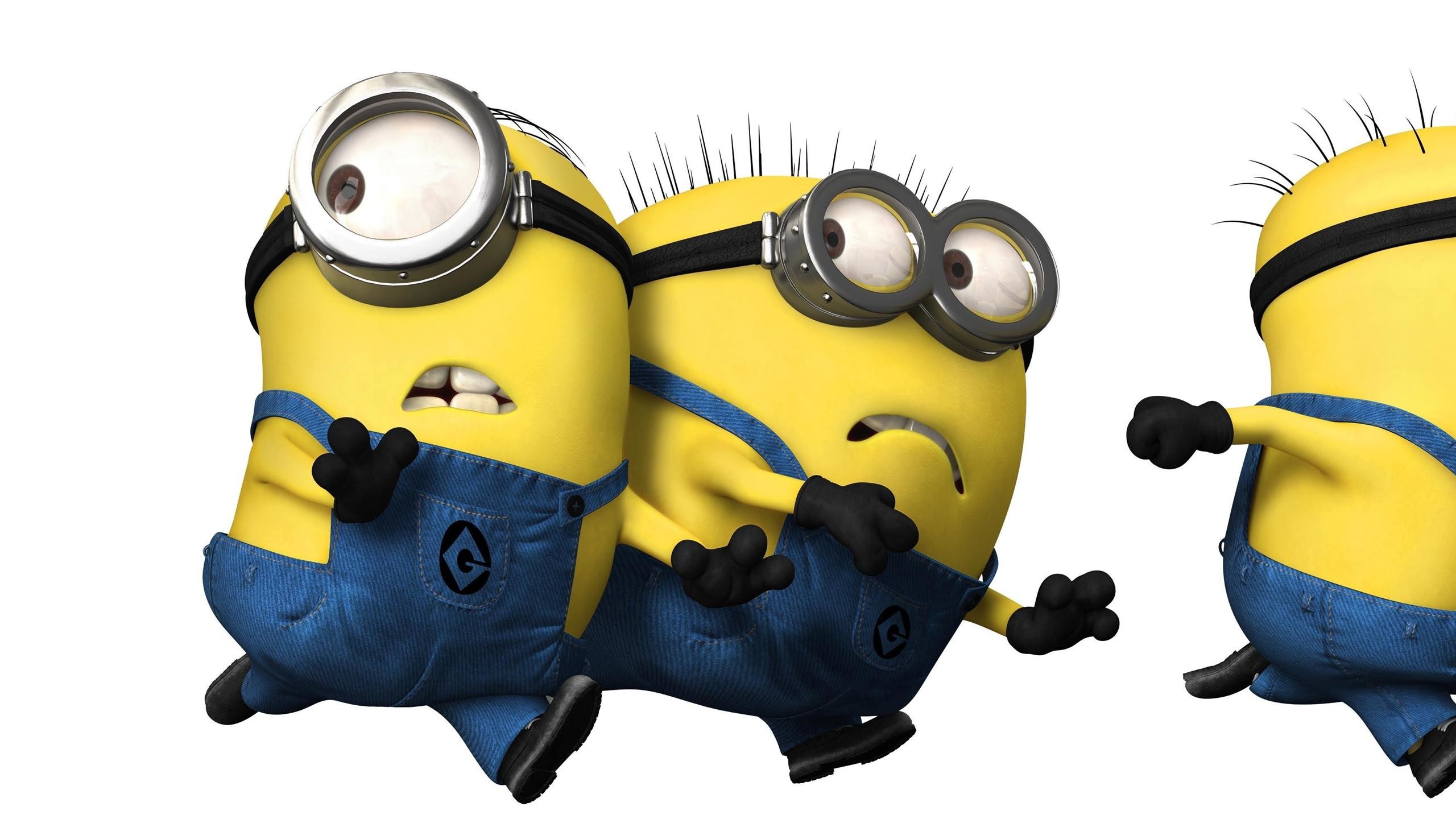 2560x1440 Cartoons Despicable Me Funny Wallpapers Images Photos 2560Ã1440 Minion  Despicable Me Wallpapers (38
