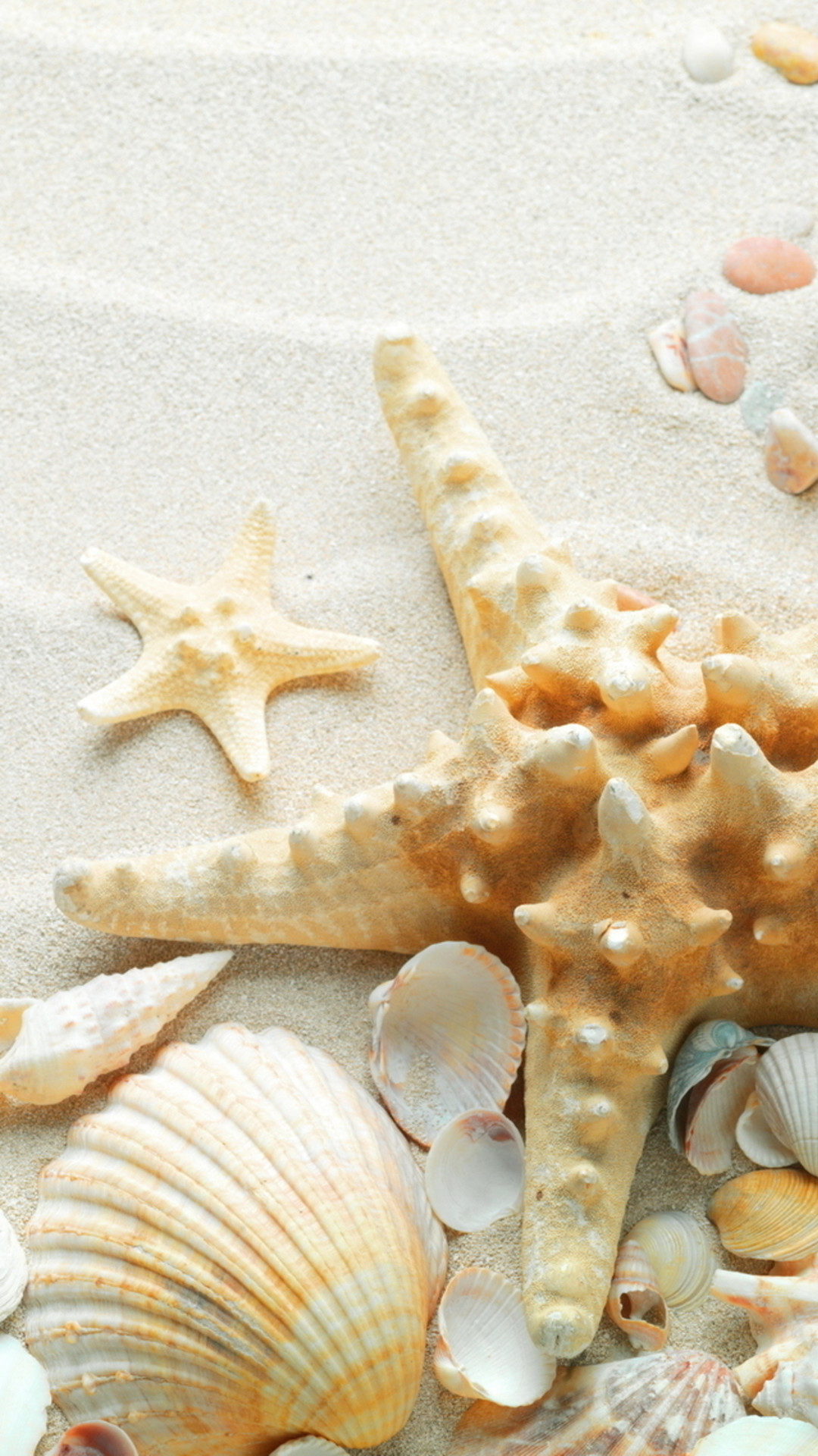 1080x1920 Pure Seaside Beach Starfish Seashell #iPhone #6 #plus #wallpaper