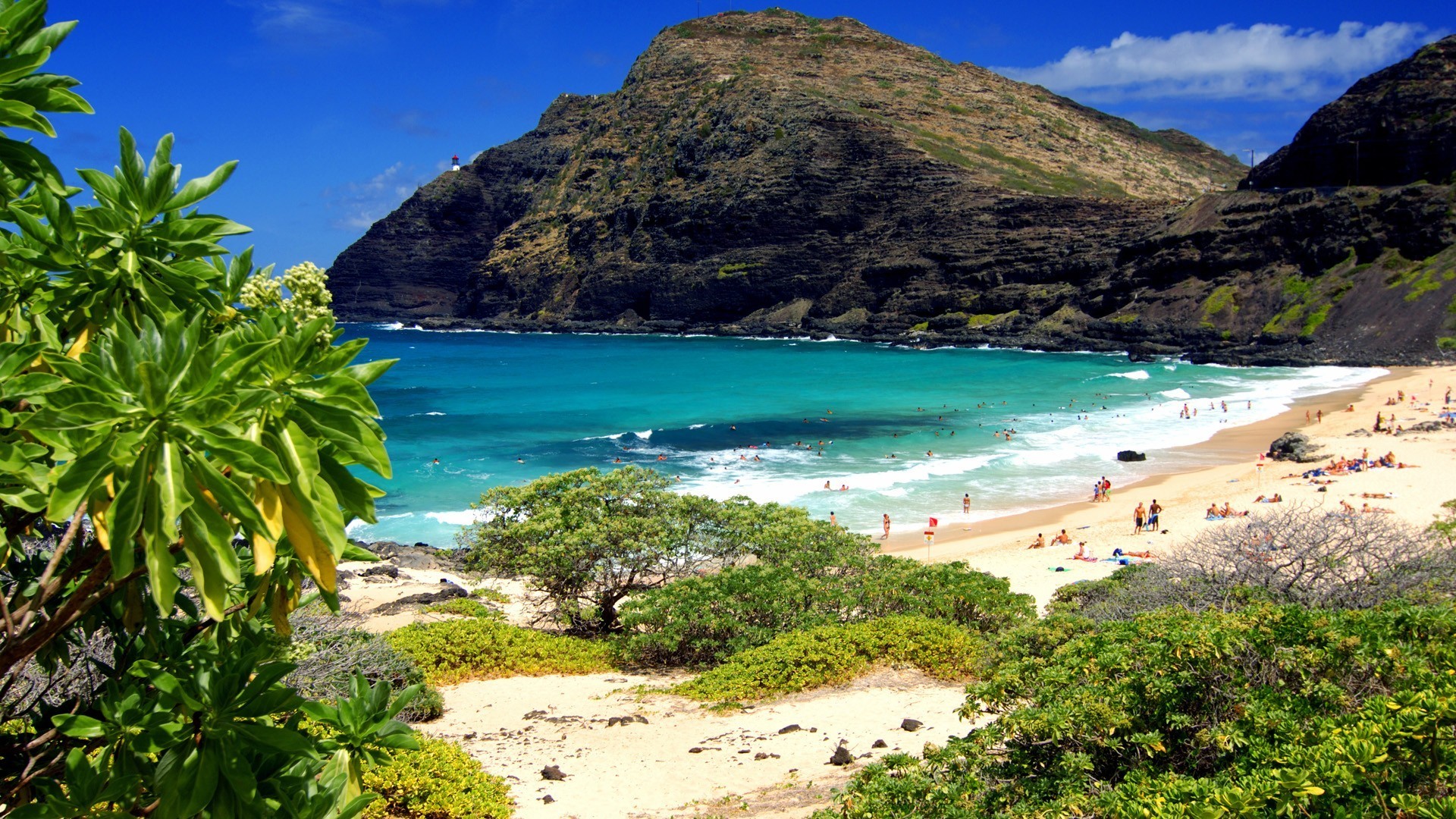 1920x1080 Beaches Parks Oahu Hawaii Beautiful Nature Wallpaper Hd Download - 