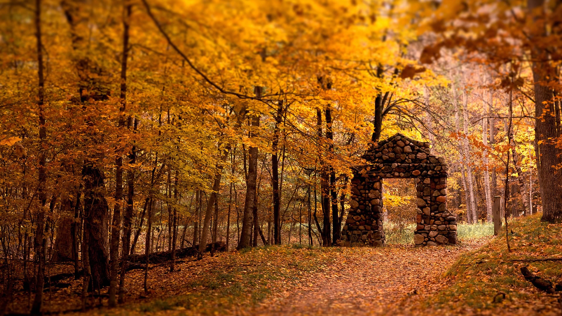 1920x1080 Autumn Desktop Wallpapers, Autumn Images Free | Cool Wallpapers