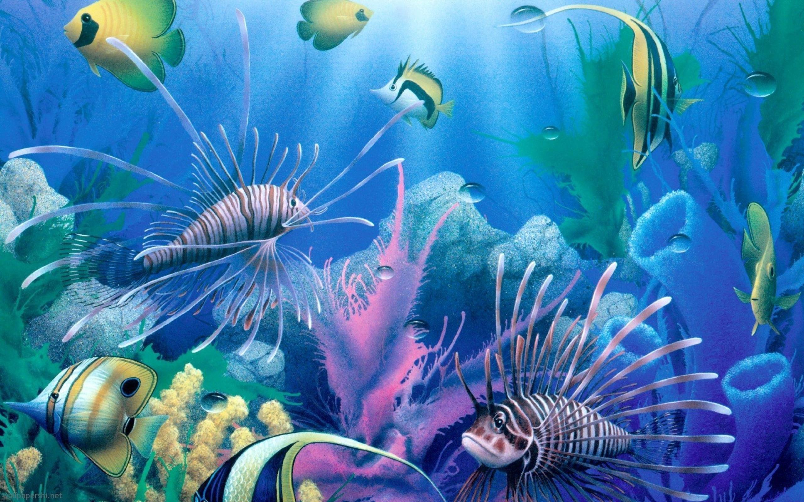 2560x1600 Deep Sea Wallpapers Wallpapers