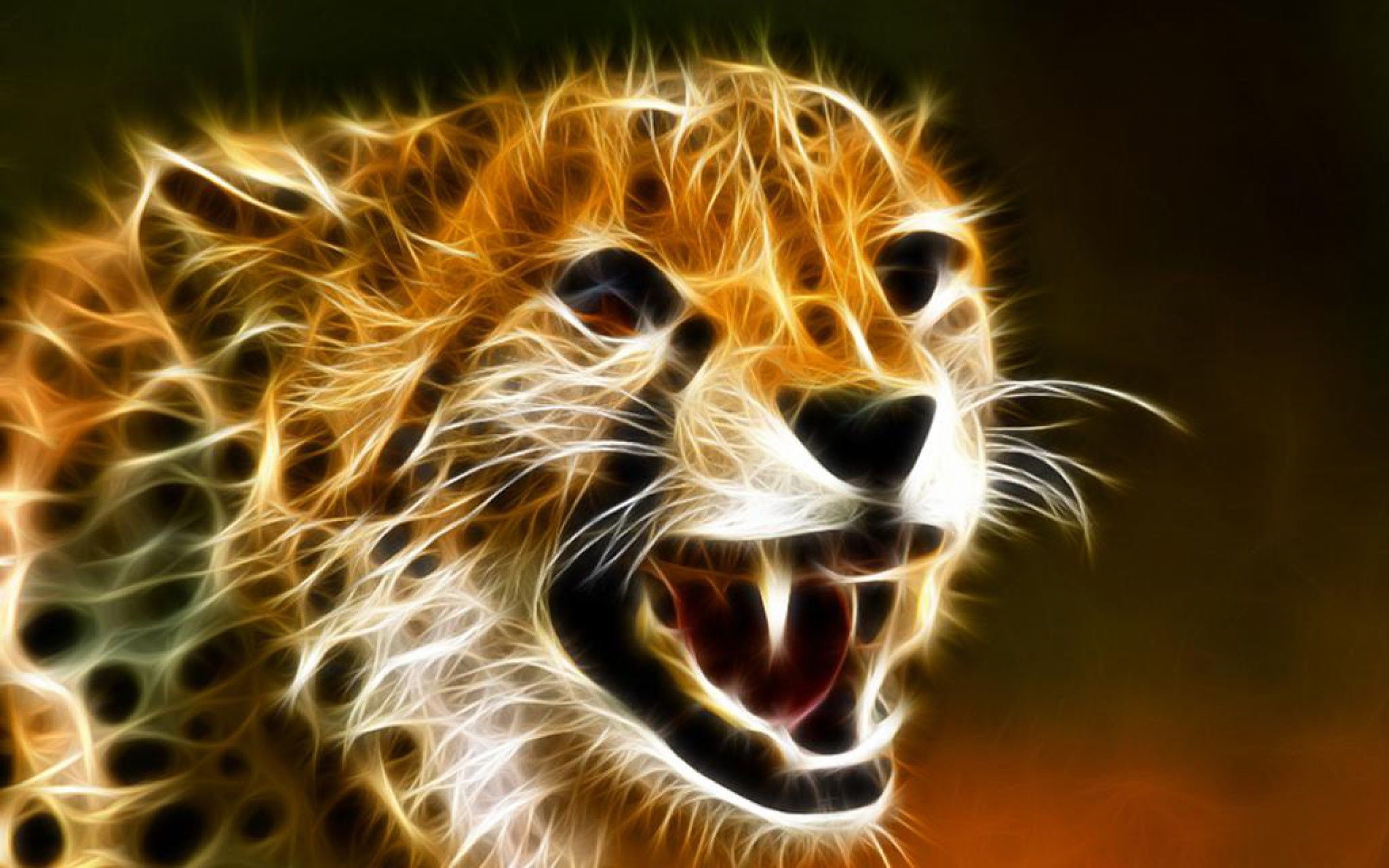 2560x1600 Cheetah Image