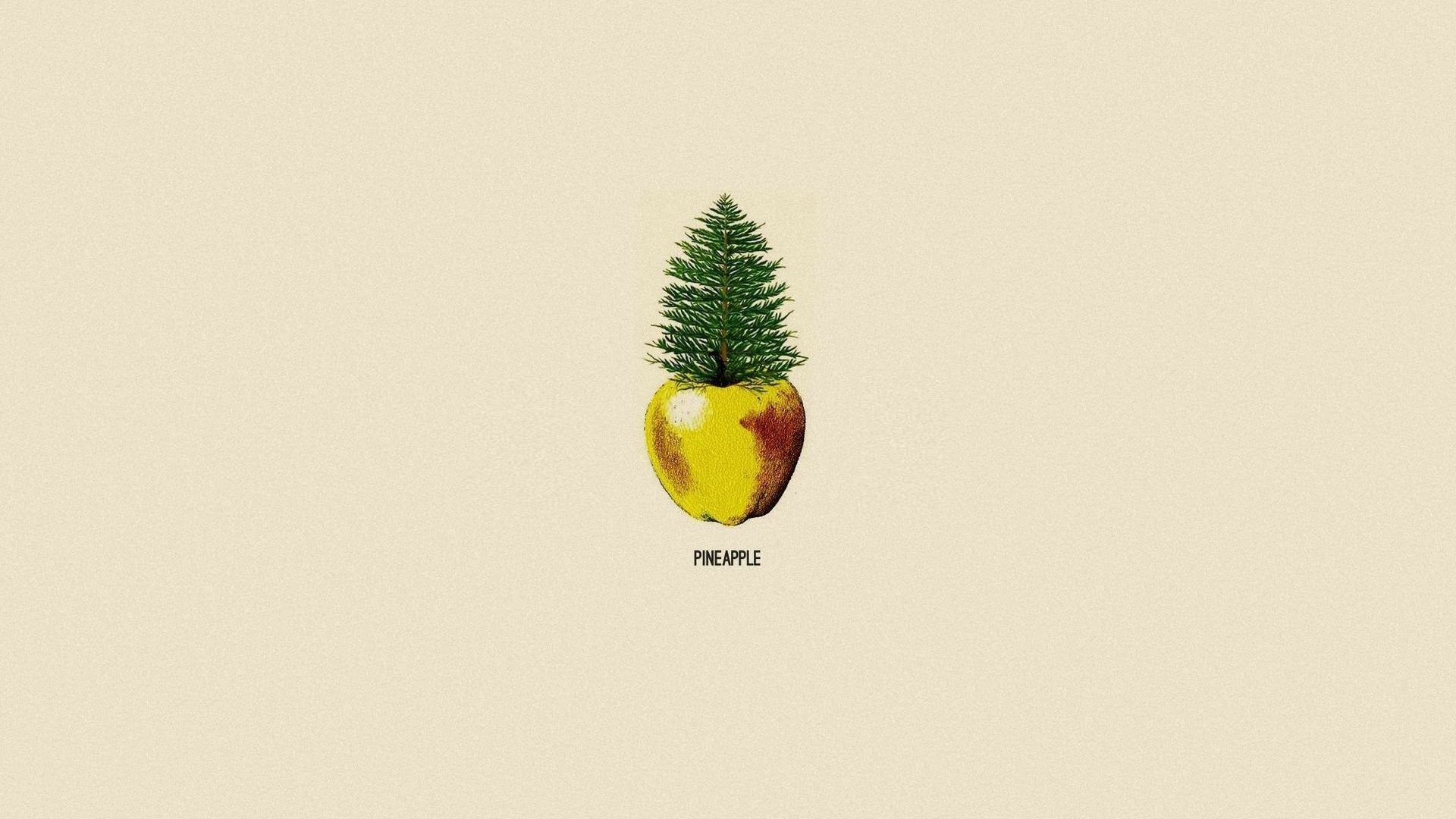 1920x1080 minimalism pine apple pineapple