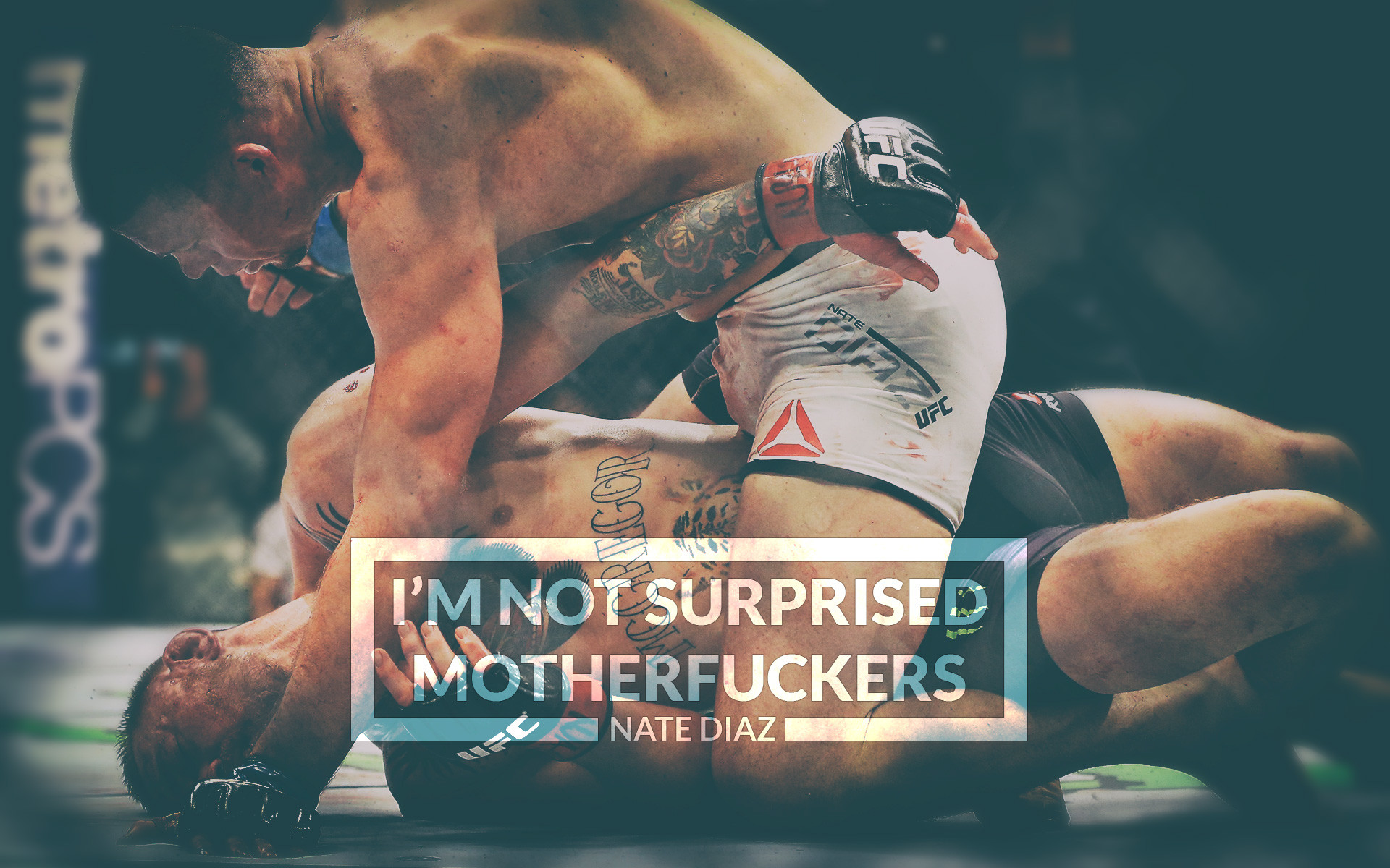 1920x1200 ... Nate Diaz - I'm not surprised by vovo-zp