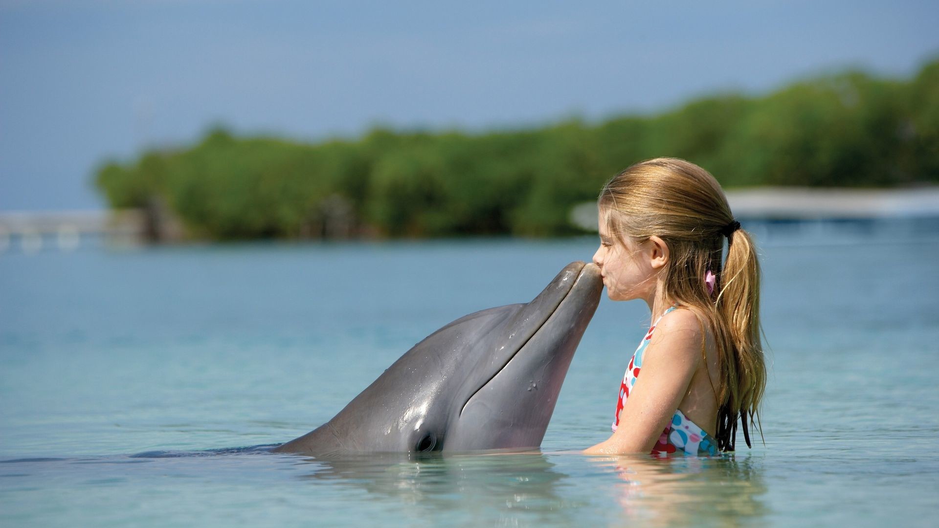 1920x1080 Cute Child with Dolphin (px) Â· Download Â· Desert Dolphin HD  Wallpaper