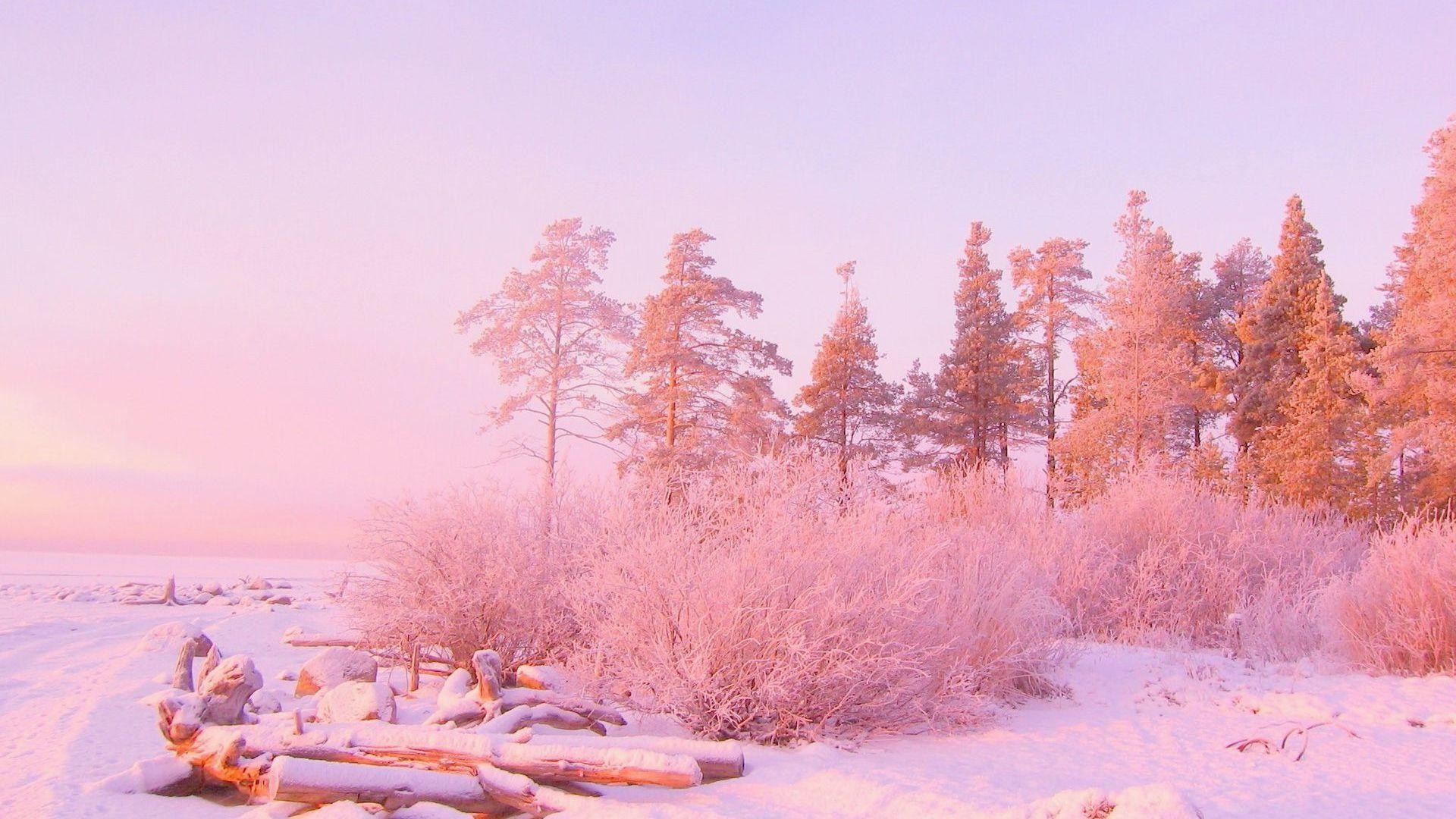 1920x1080 HD-Light-Pink-Backgrounds