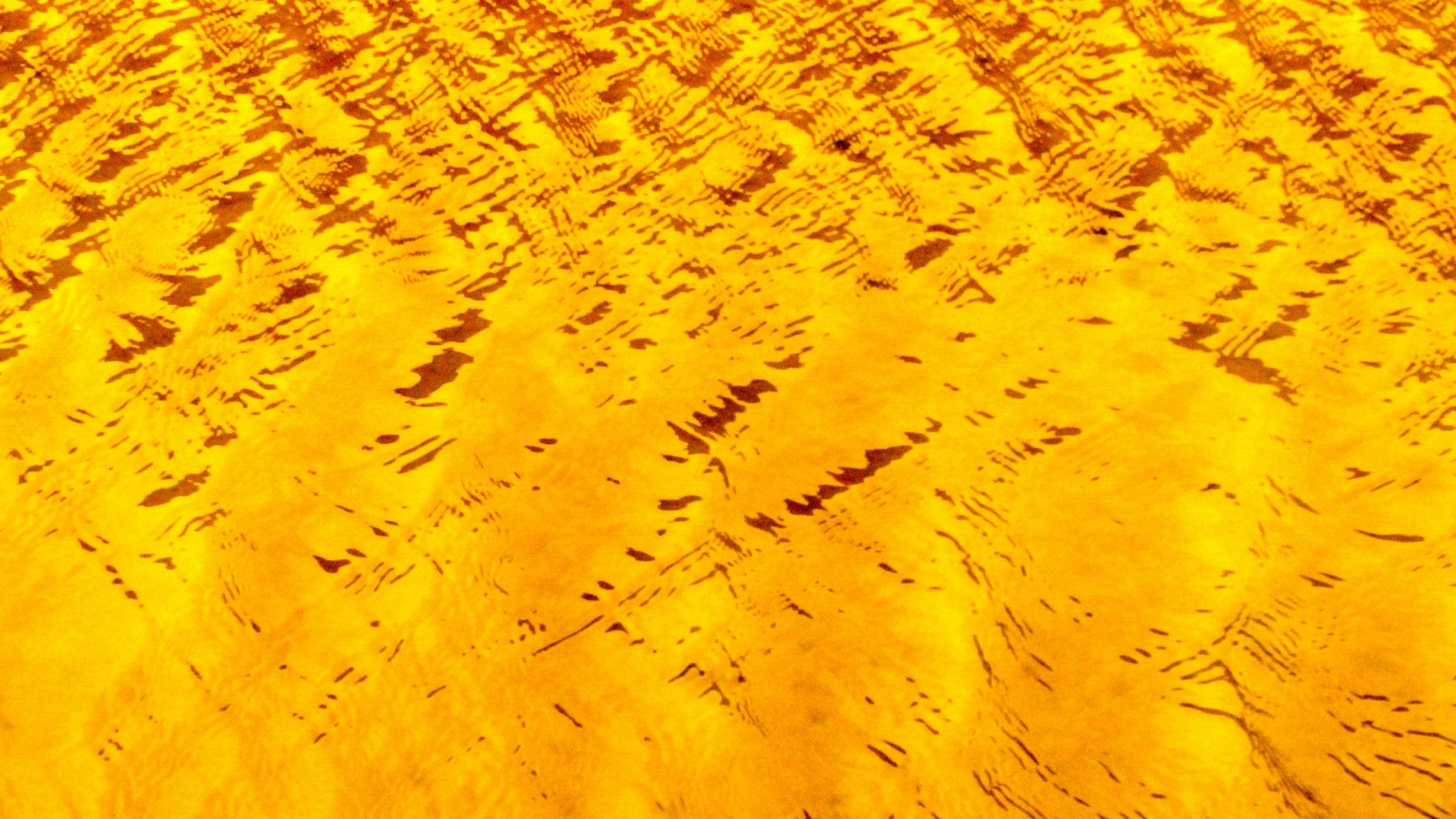 1920x1080 Cool Calm Yellow Water Background