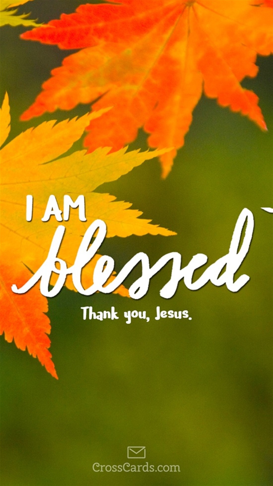 1100x1956 I Am Blessed mobile phone wallpaper