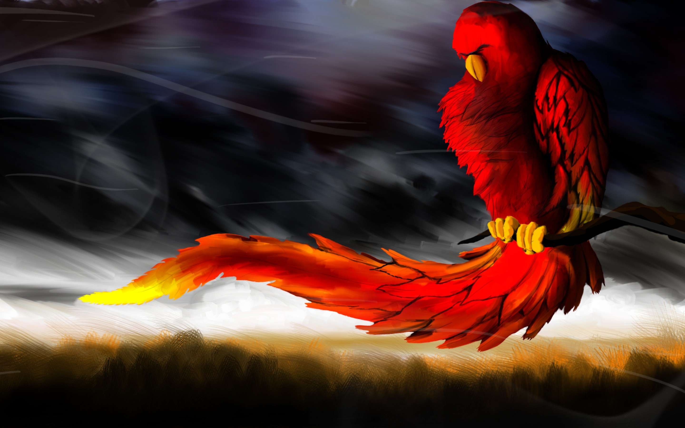 2880x1800 Red phoenix