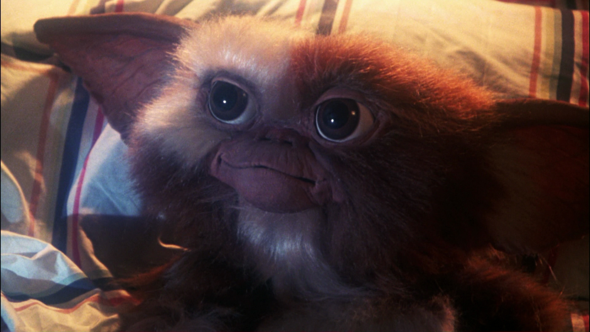 1920x1080 Exclusive: 'Gremlins' Reboot Has Seth Grahame-Smith Snacking After  Midnight! - Bloody Disgusting