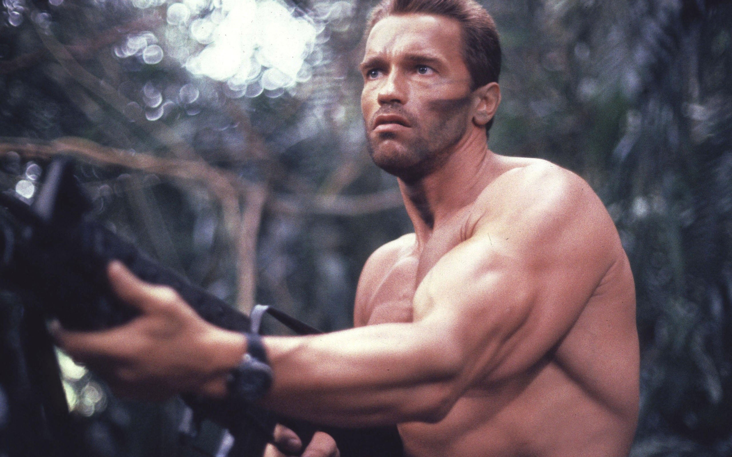 2560x1600 Arnold Schwarzenegger
