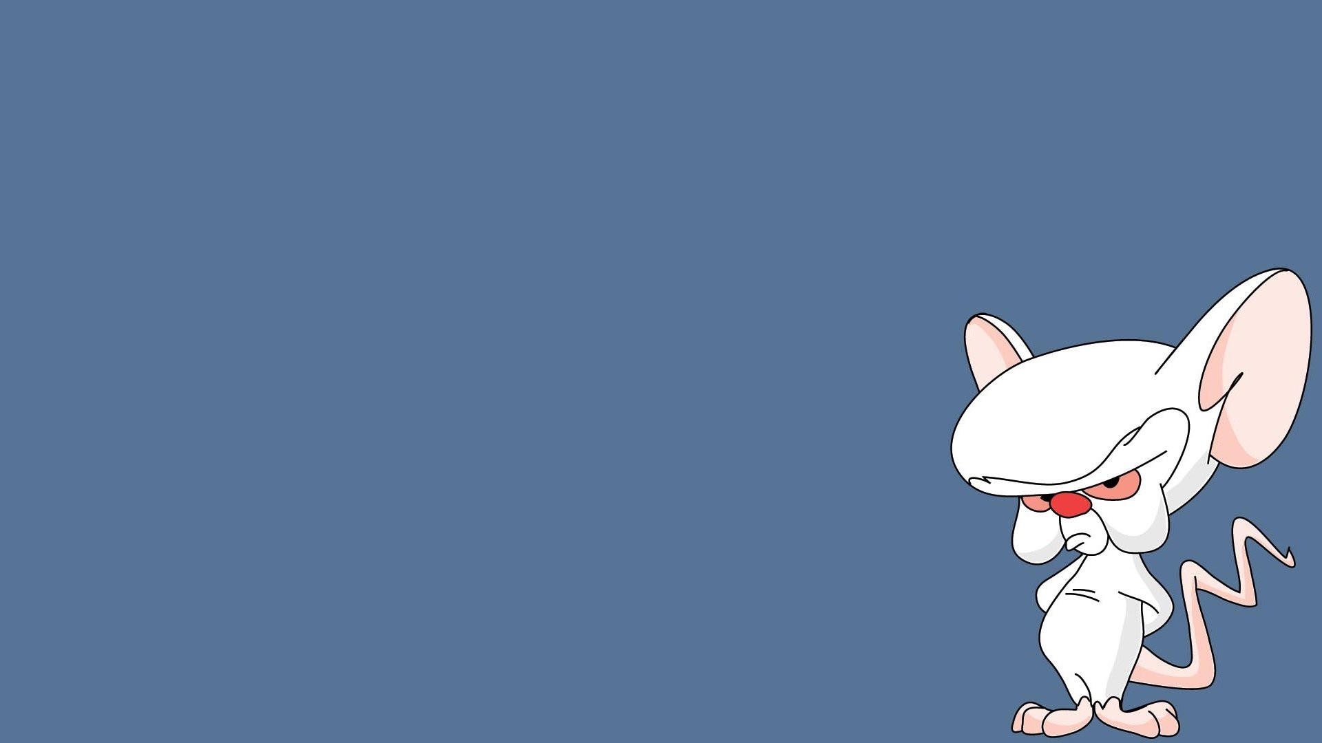 1920x1080 Zeichentrick - Pinky And The Brain Wallpaper