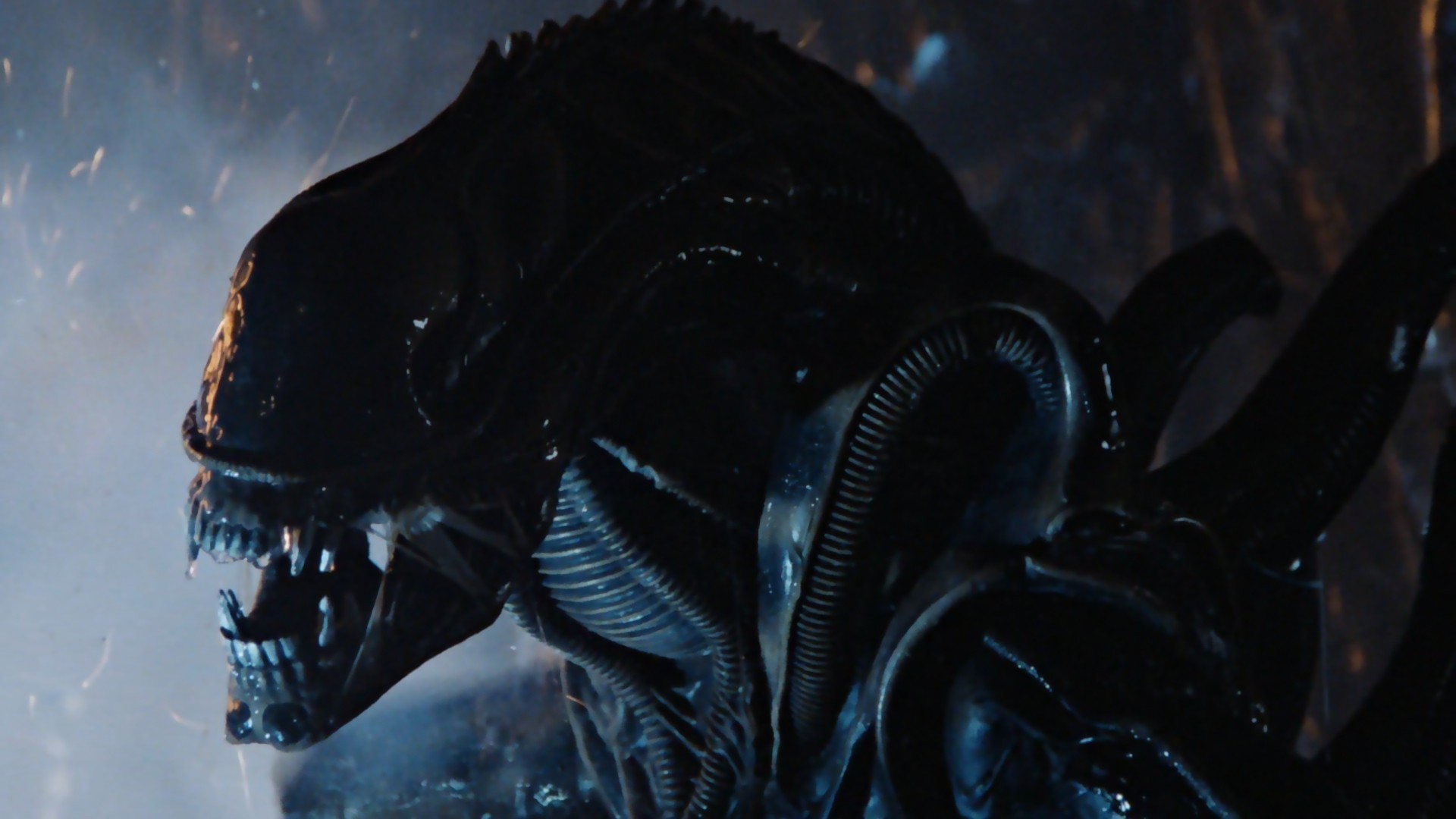 1920x1080 HD Aliens Movie Awesome Wallpapers
