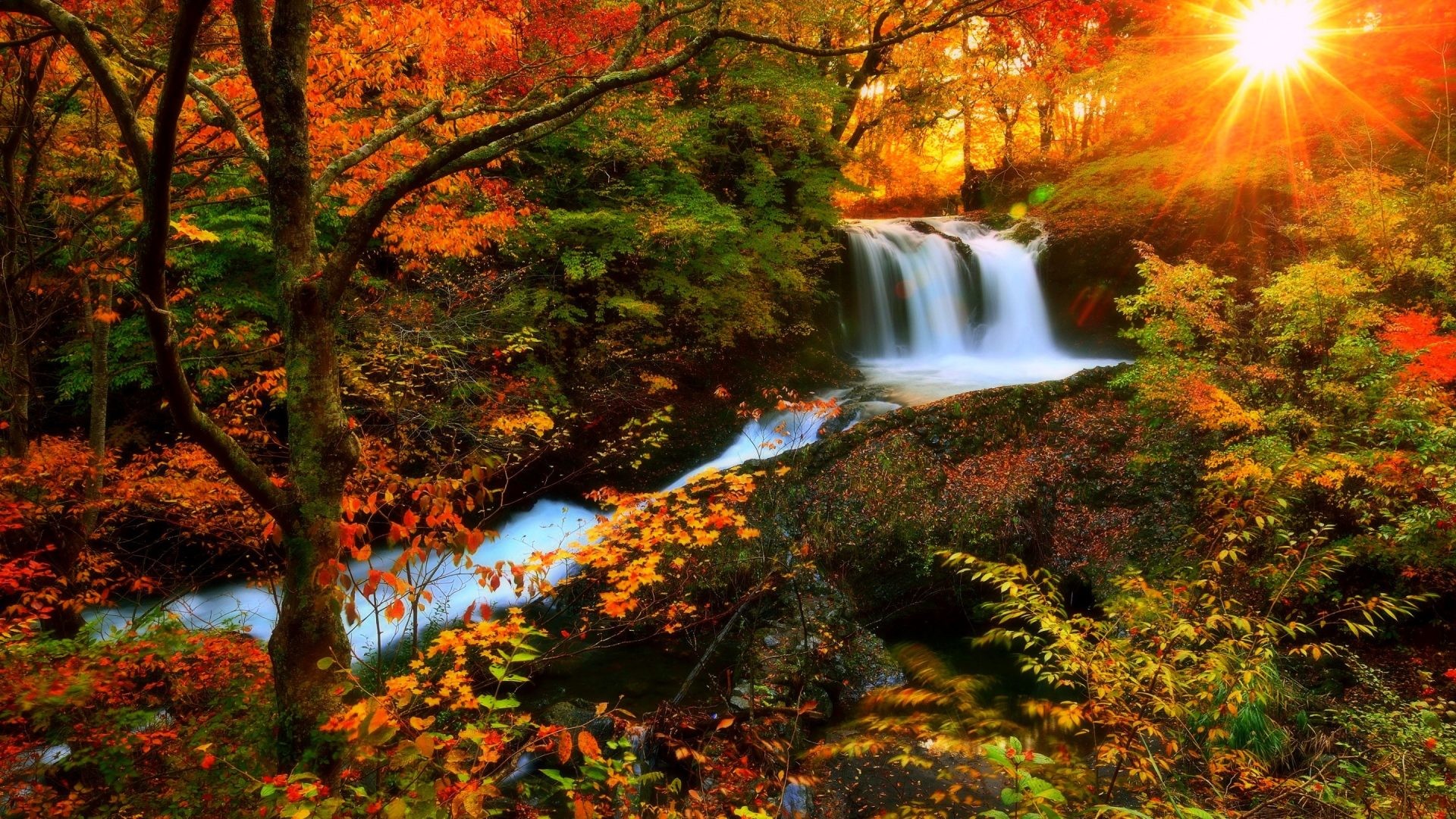 1920x1080 Waterfalls - Autumn Waterfalls Photography Sunlight Love Seasons Sunshine  Attractions Dreams Creative Pre Colors Stunning Falls