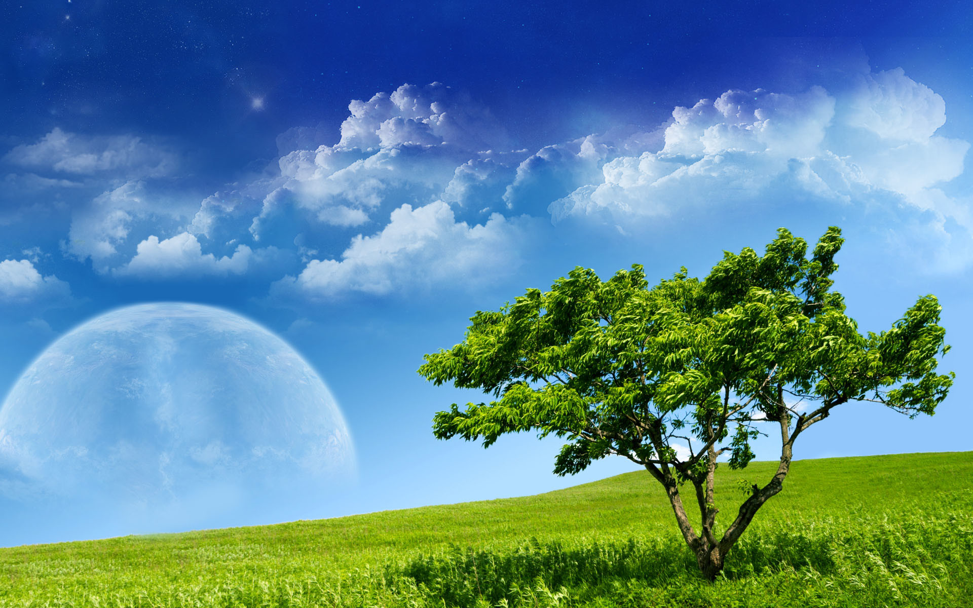 1920x1200 Beautiful Sky Moon in Spring HD Wallpaper | Nature Wallpapers
