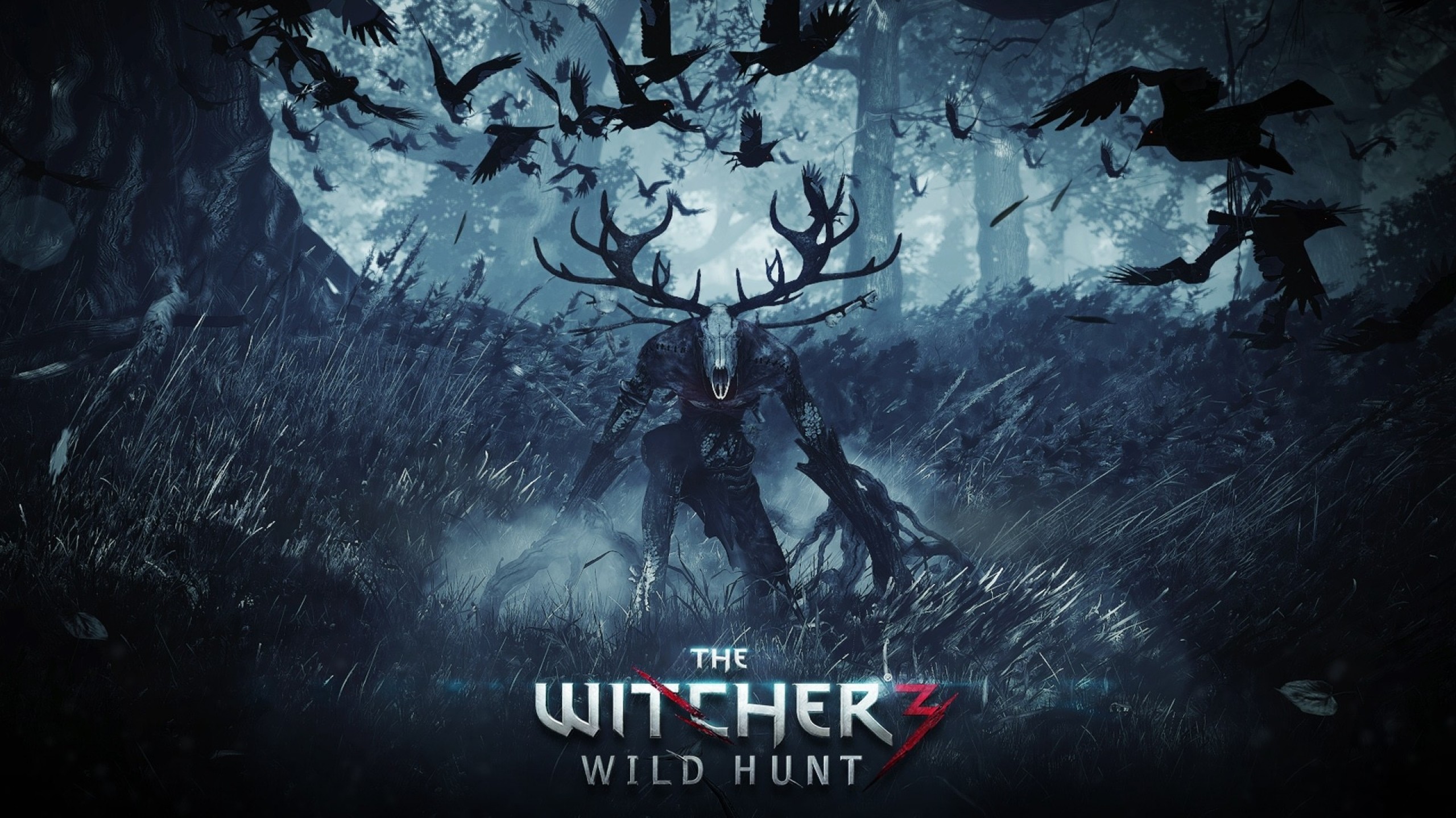 2560x1440 Preview wallpaper the witcher 3 wild hunt, final part, pc, playstation 4,