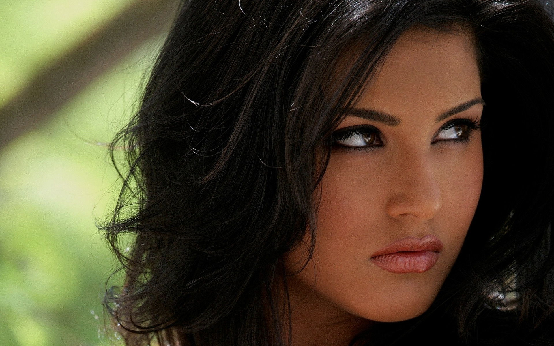 1920x1200 Canadian Model And Penthouse Pet Of The Year 2003 Sunny Leone