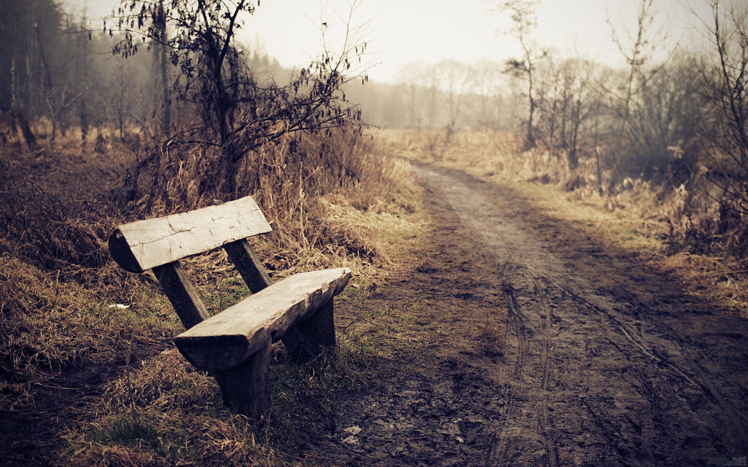2560x1600 the Lonely Bench Wallpaper, Lonely Bench iPhone Wallpaper, Lonely 1136
