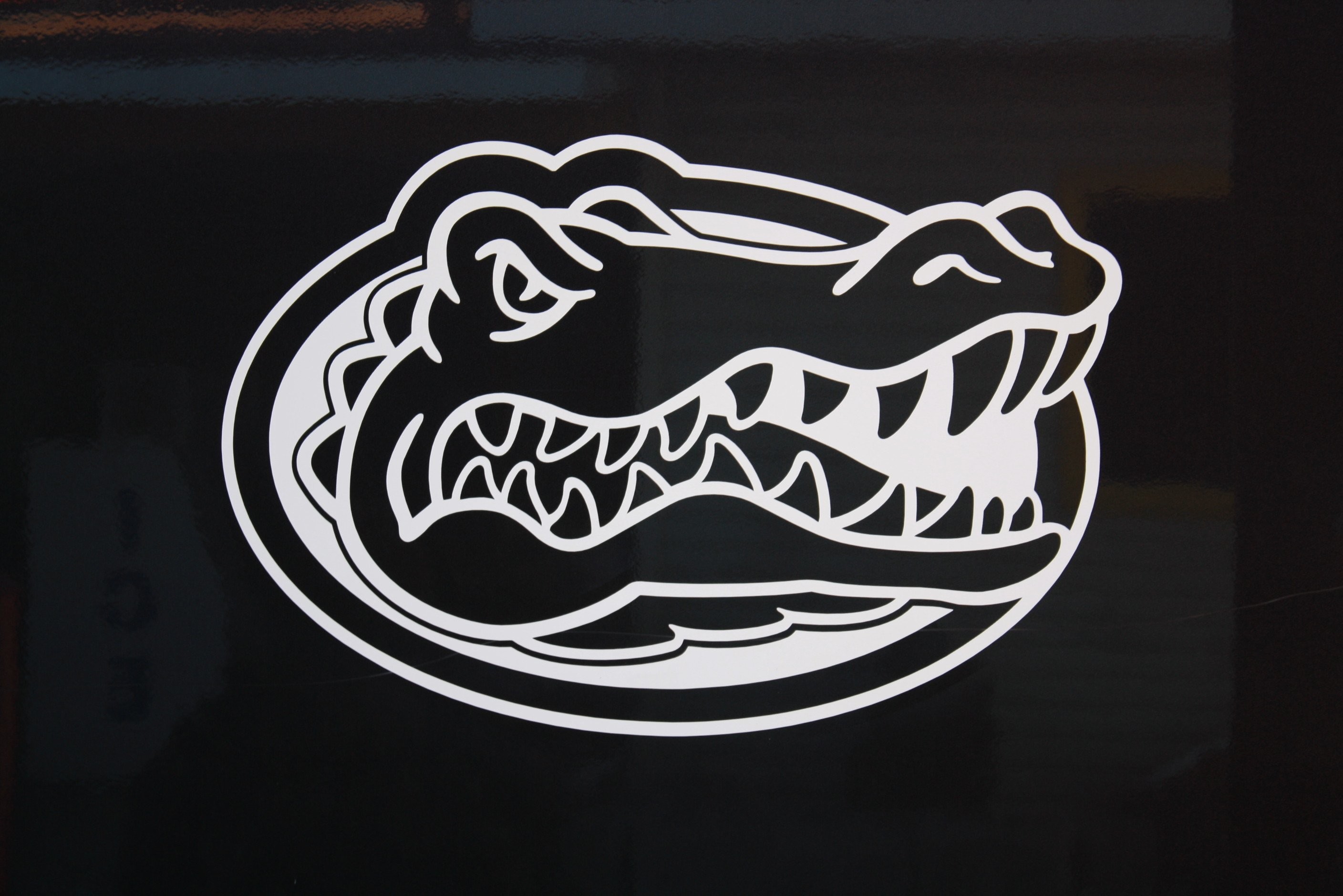 2816x1880 HD florida gators wallpaper. Pictures Florida Gators .
