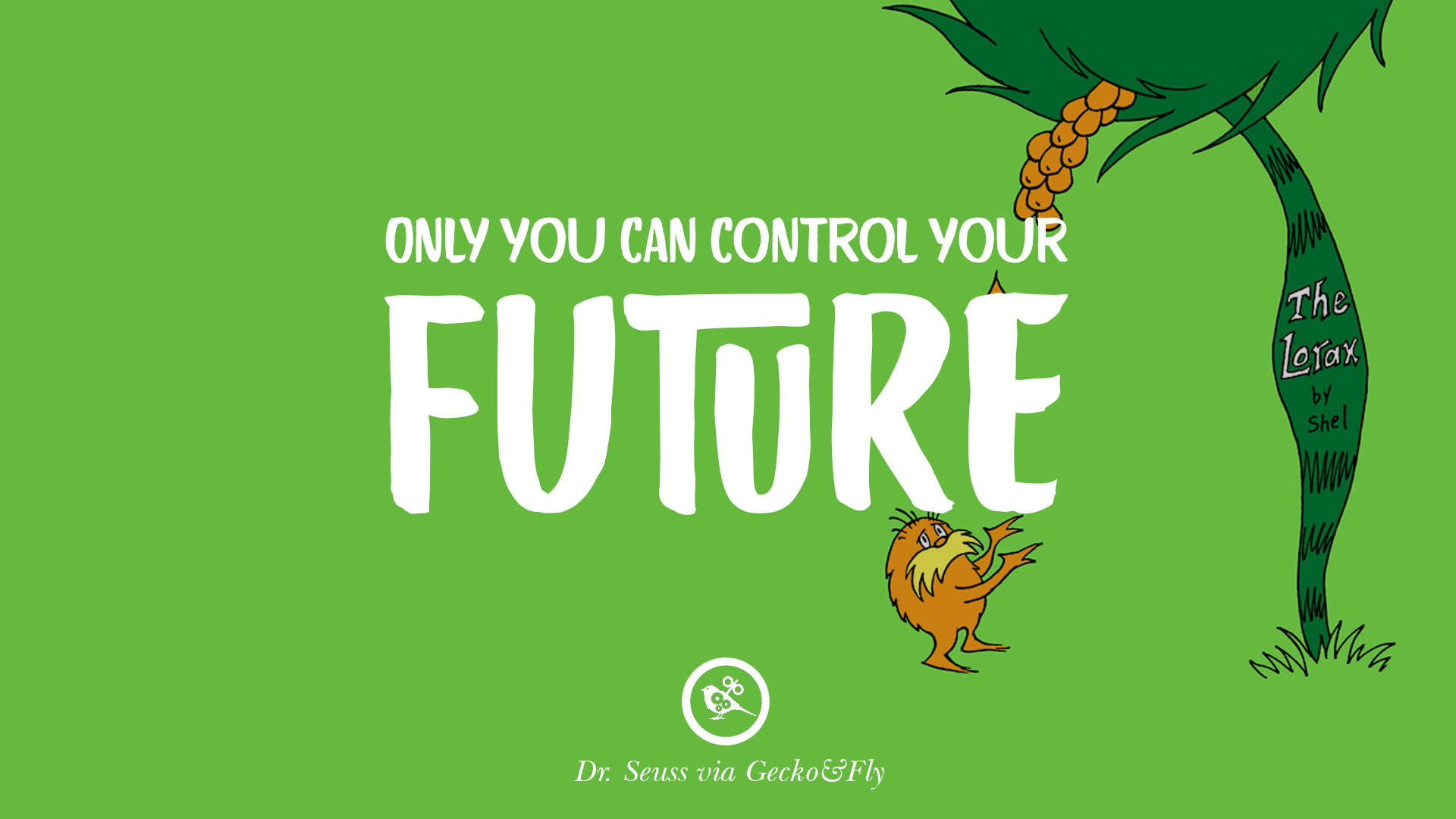 1920x1080 Only you can control your future. – Dr Seuss