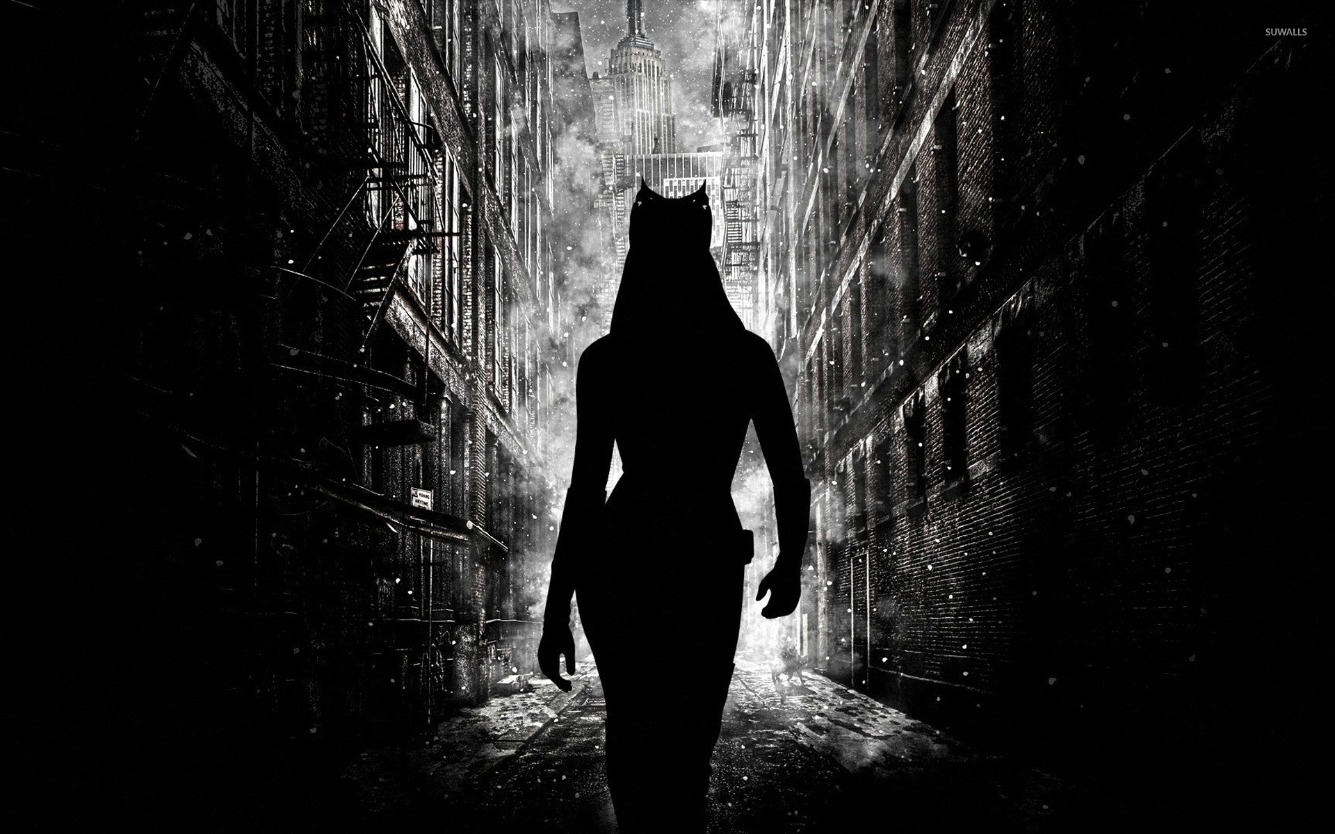 1920x1200 Catwoman wallpaper  jpg