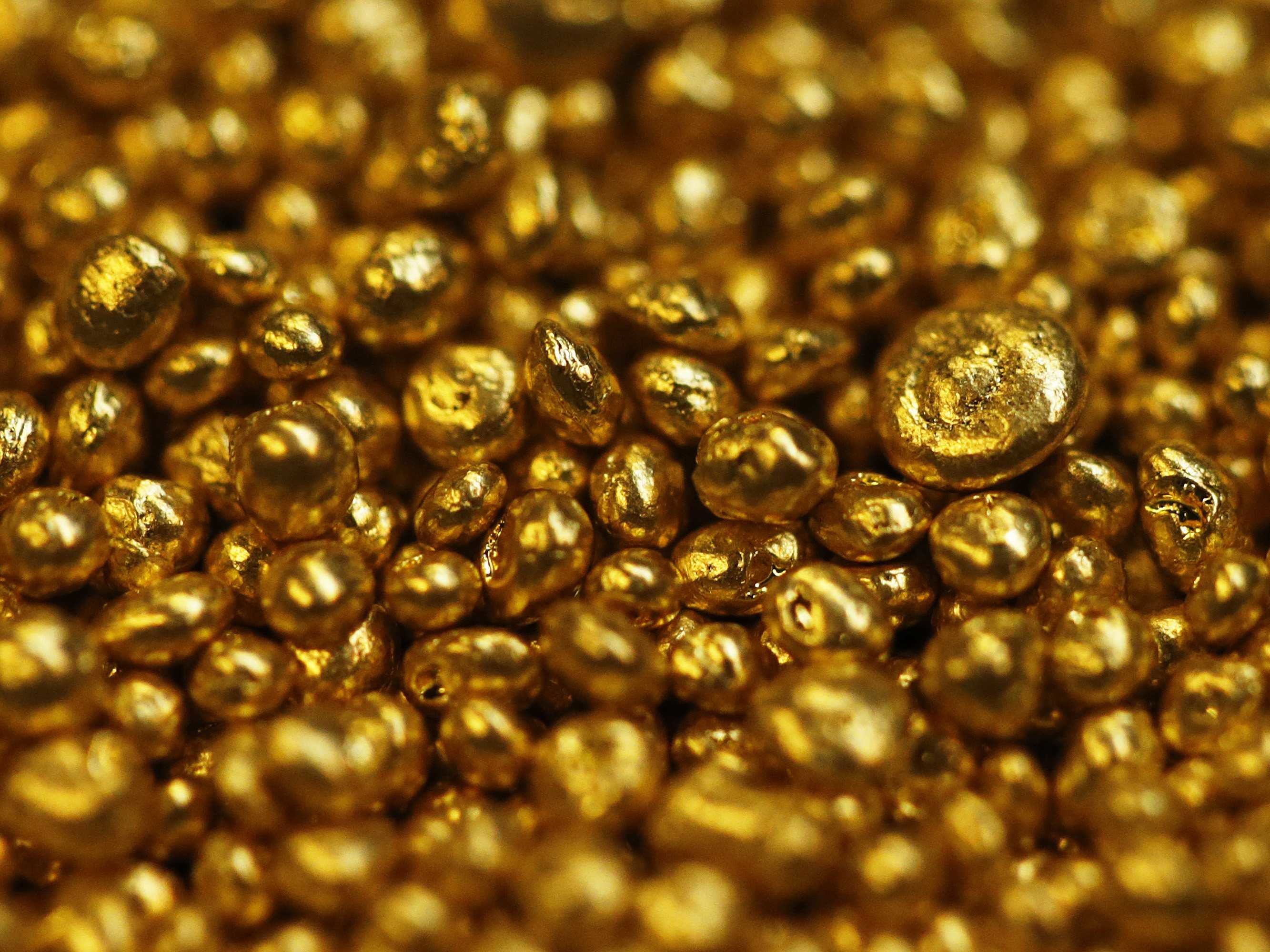 2666x2000 Small Shiny Gold Beans