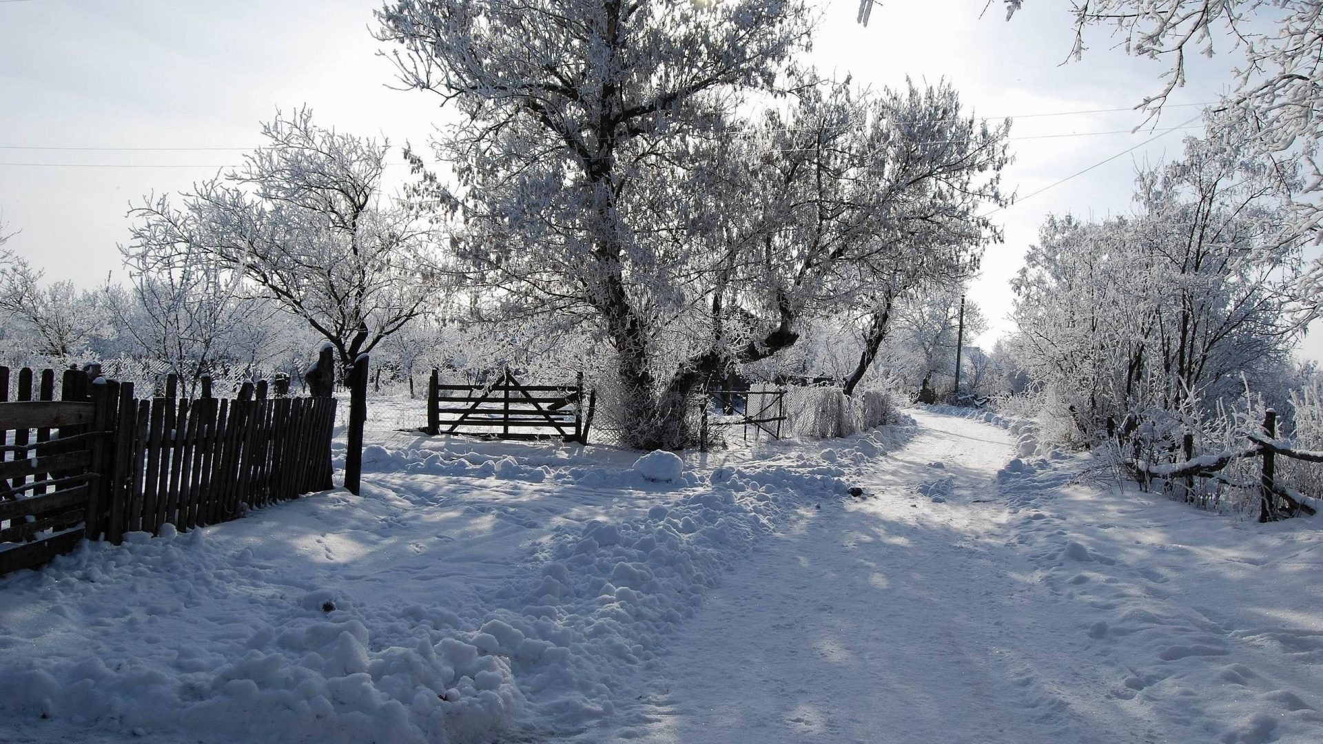 1920x1080 Winter - Tree House Snowy Evening Wonderful Snowfall White Blue Cabin Snow  Forest Winter HD Wallpaper